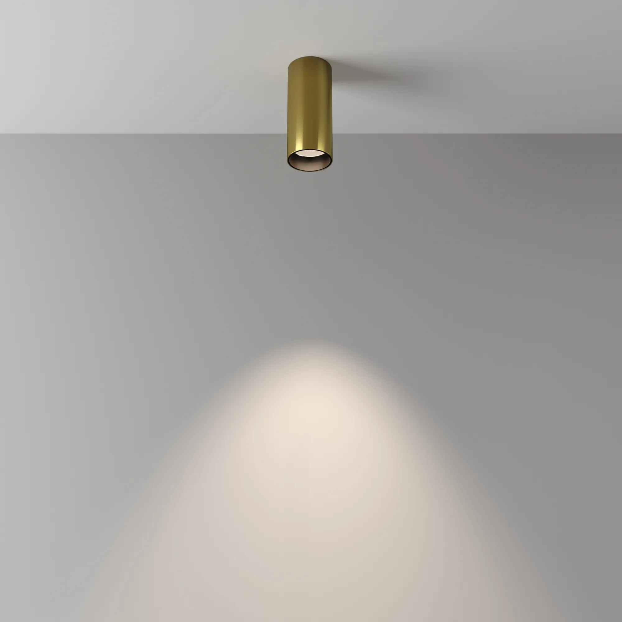 картинка Потолочный светильник Technical C056CL-L12W4K-W-BS