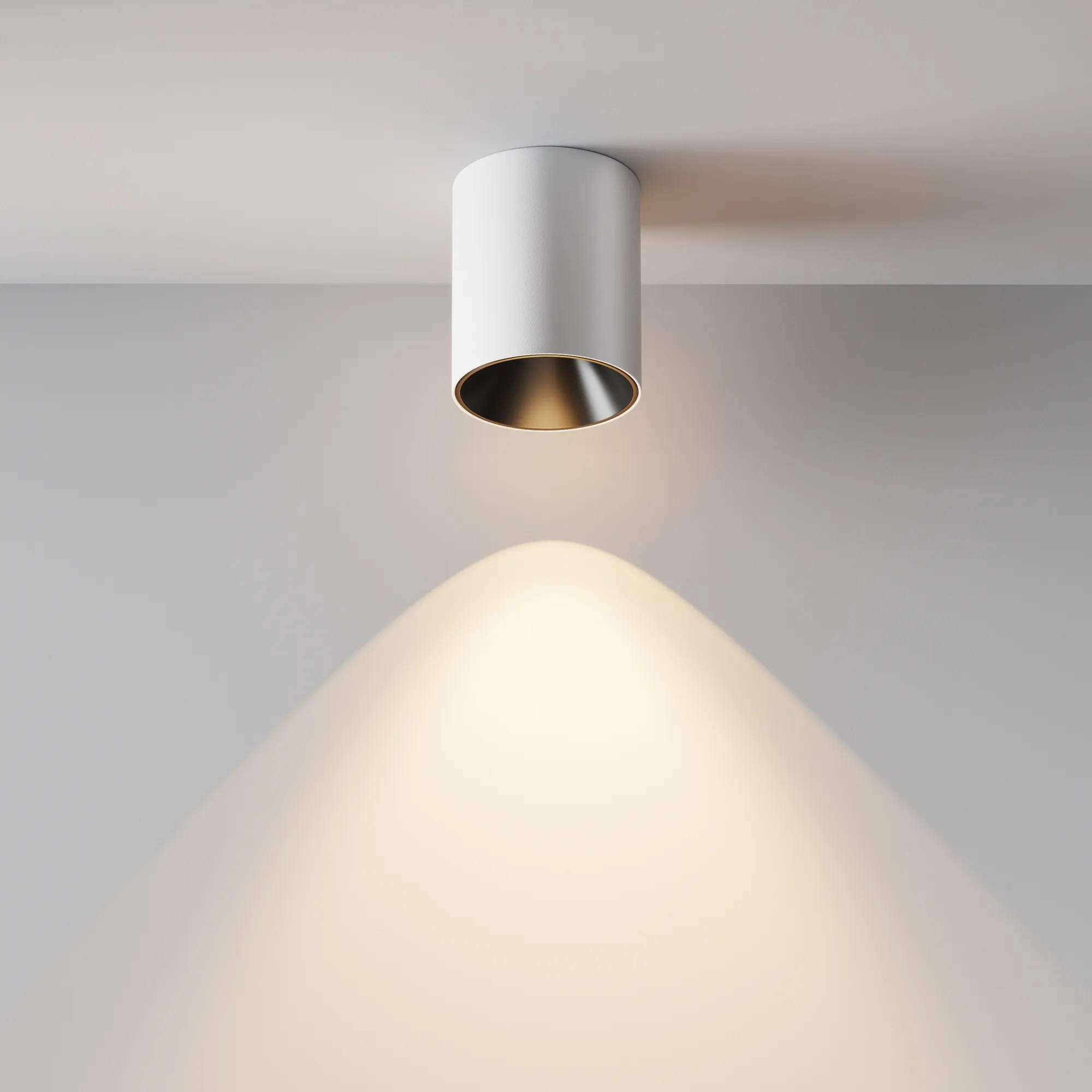 картинка Потолочный светильник Technical C064CL-12W3K-RD-WB