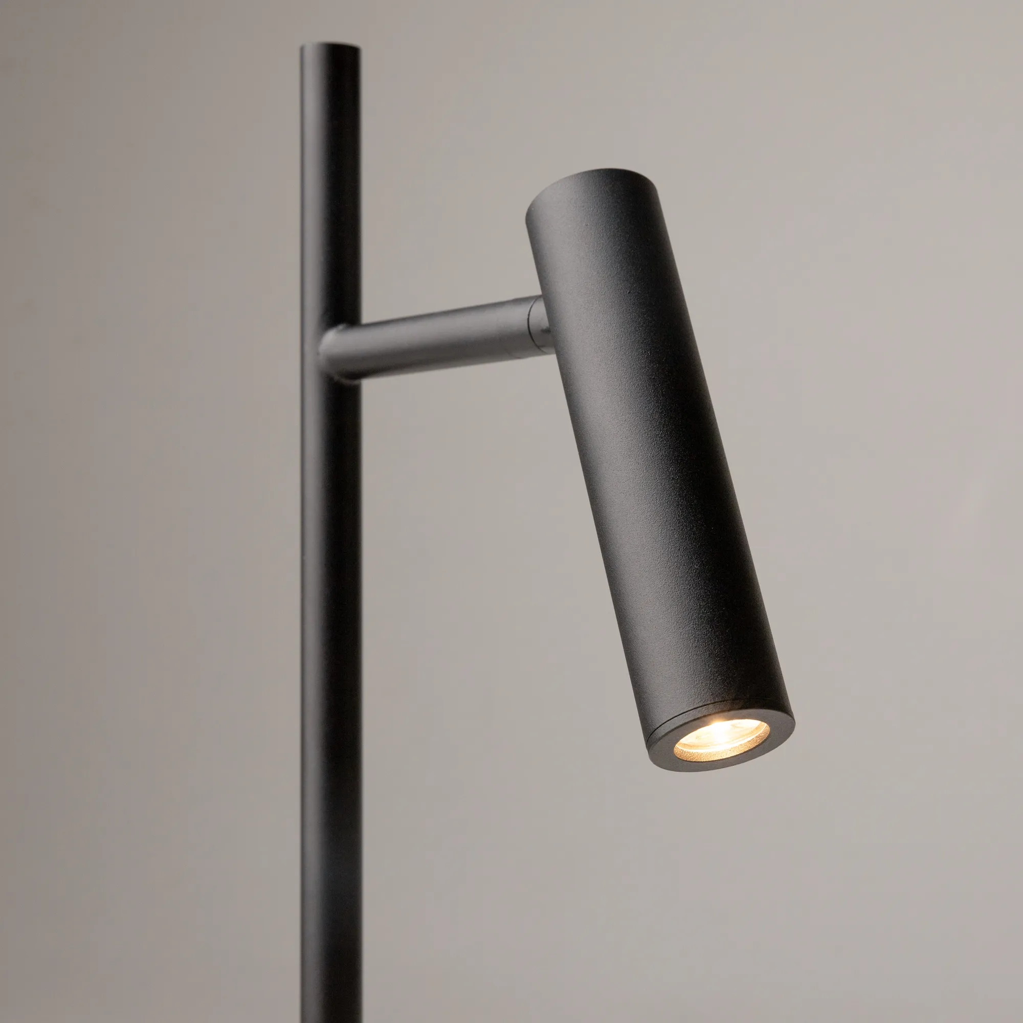 картинка Напольный светильник (торшер) Maytoni Z010FL-L8B3K