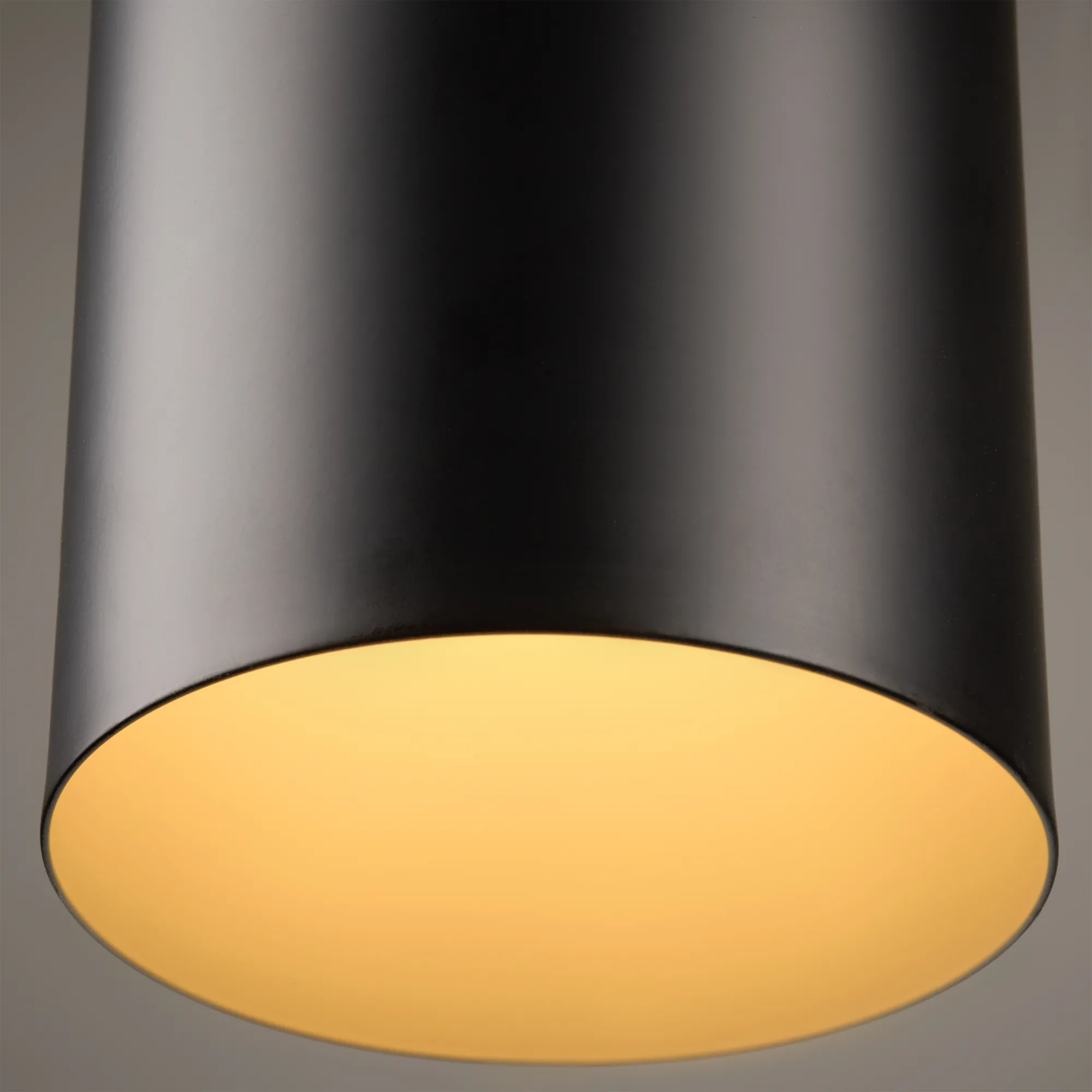 картинка Подвесной светильник Freya FR5400PL-01B