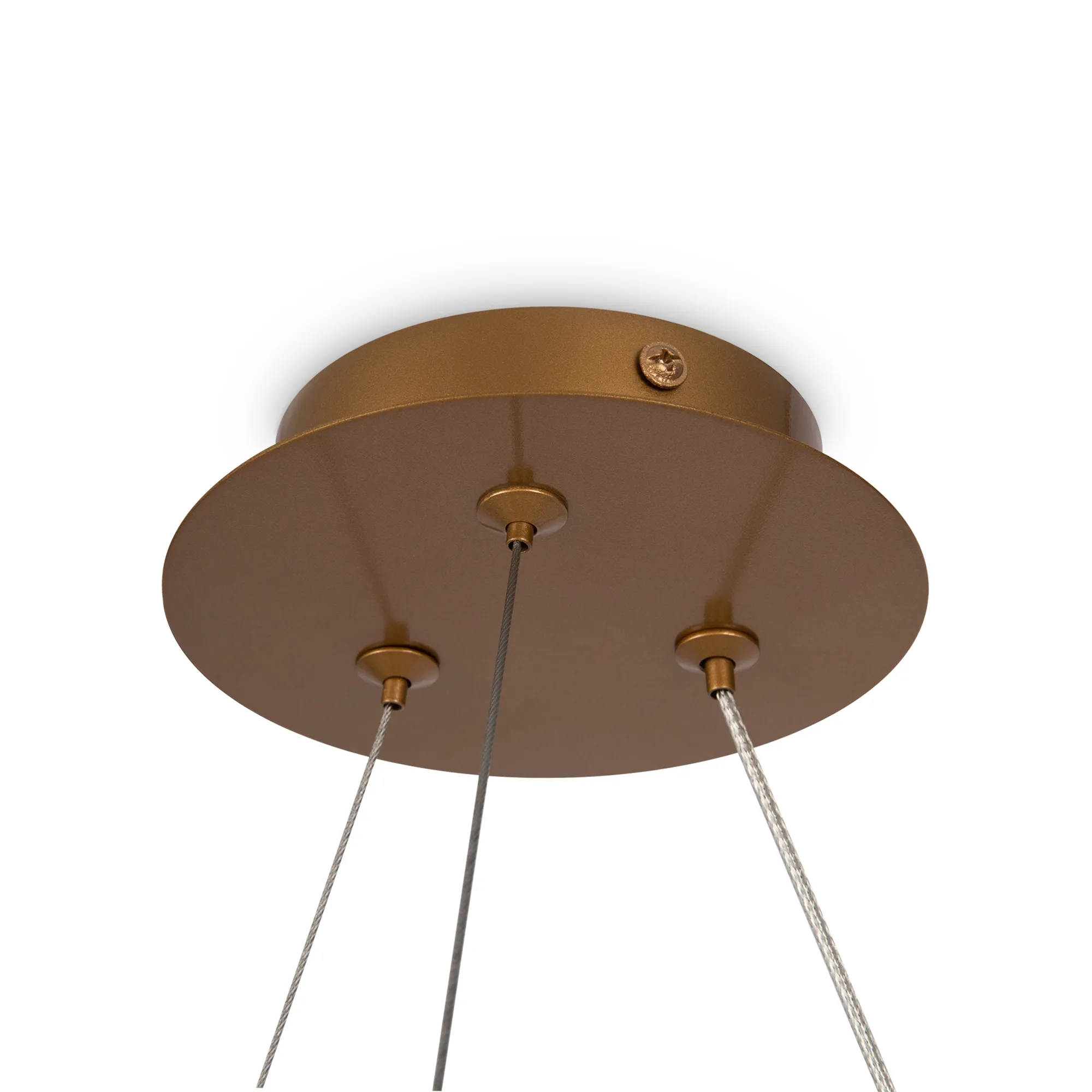 картинка Подвесной светильник Maytoni MOD317PL-04G