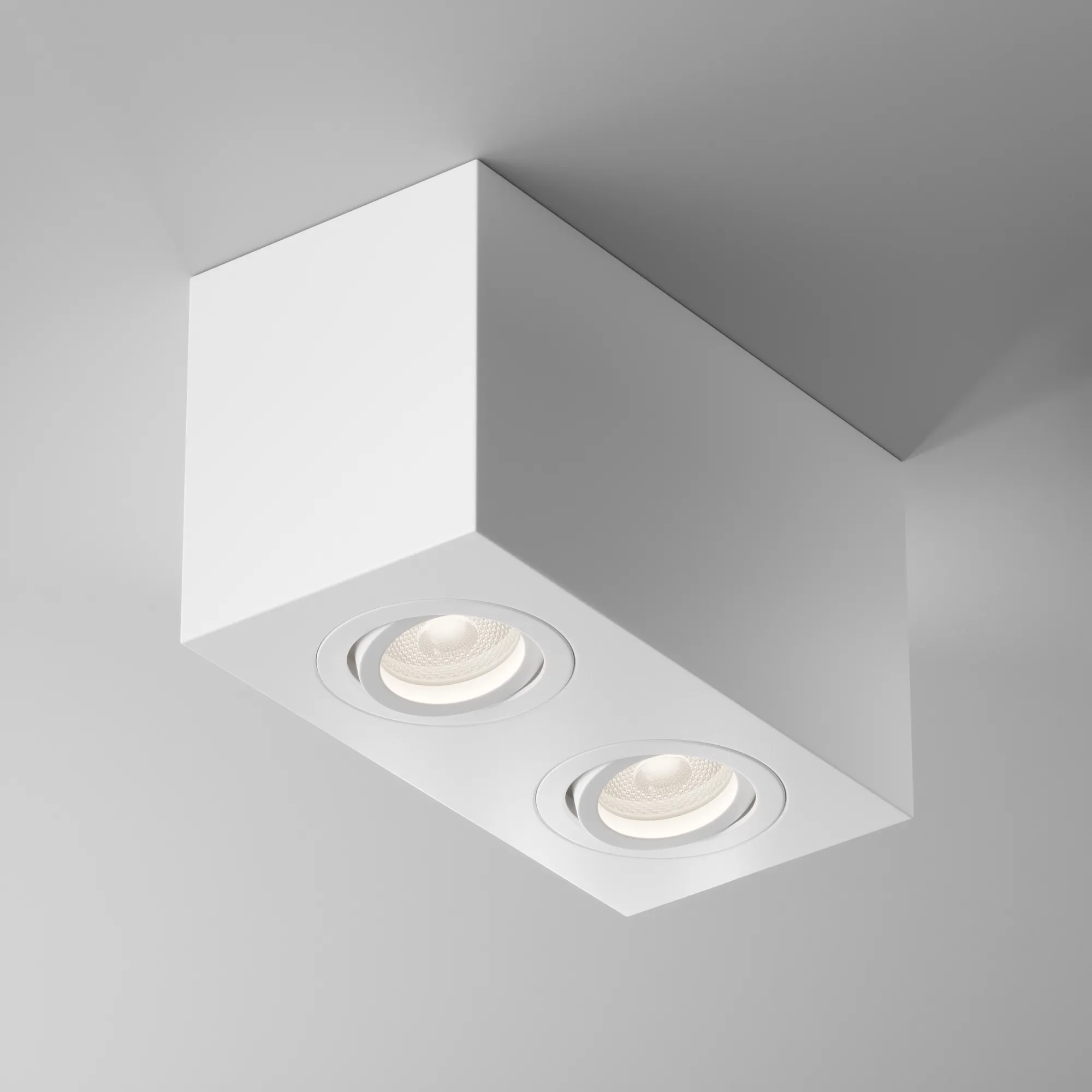 картинка Потолочный светильник Technical C017CL-02W