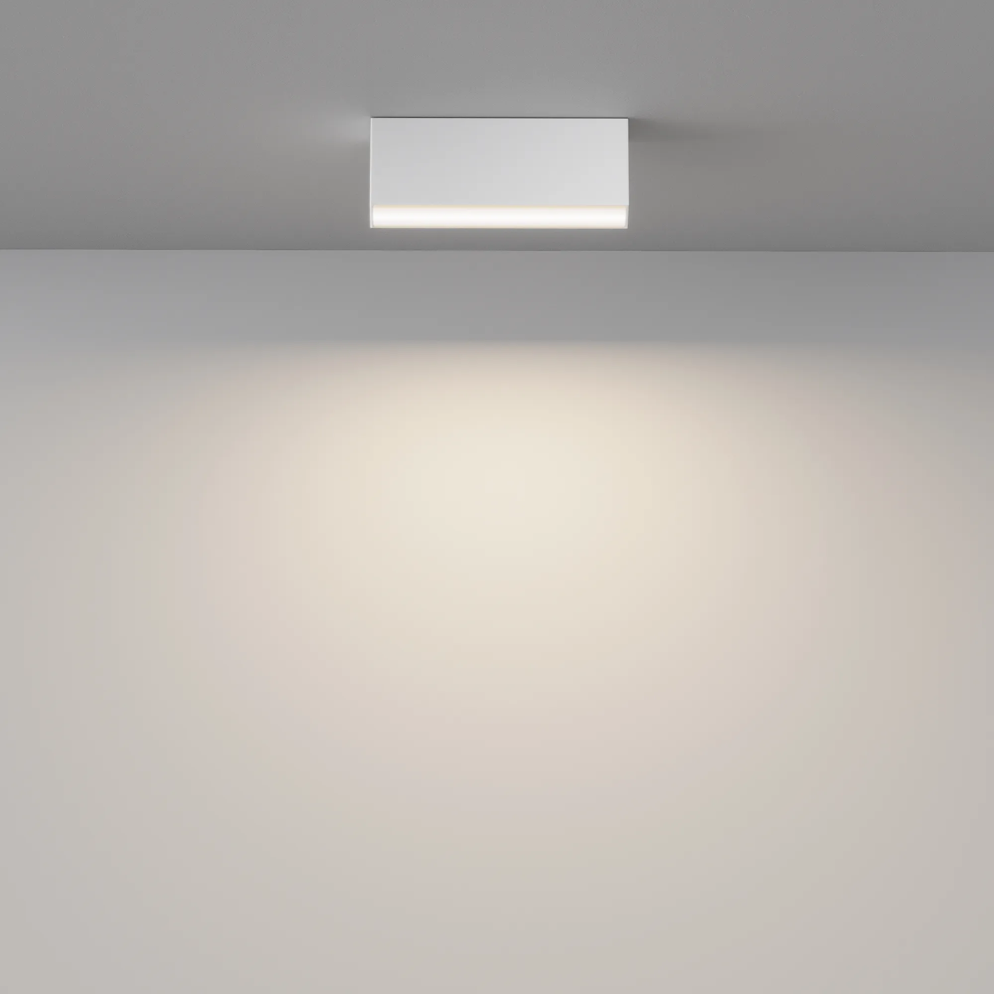 картинка Потолочный светильник Technical C068CL-12W3-6K-W