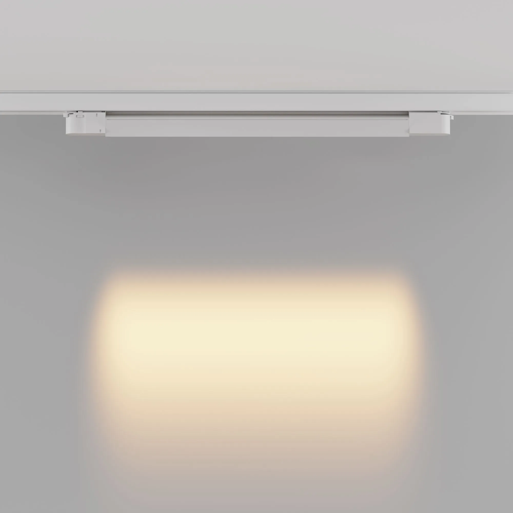 картинка Трековый светильник Technical TR195-3-20W2.7K-M-W