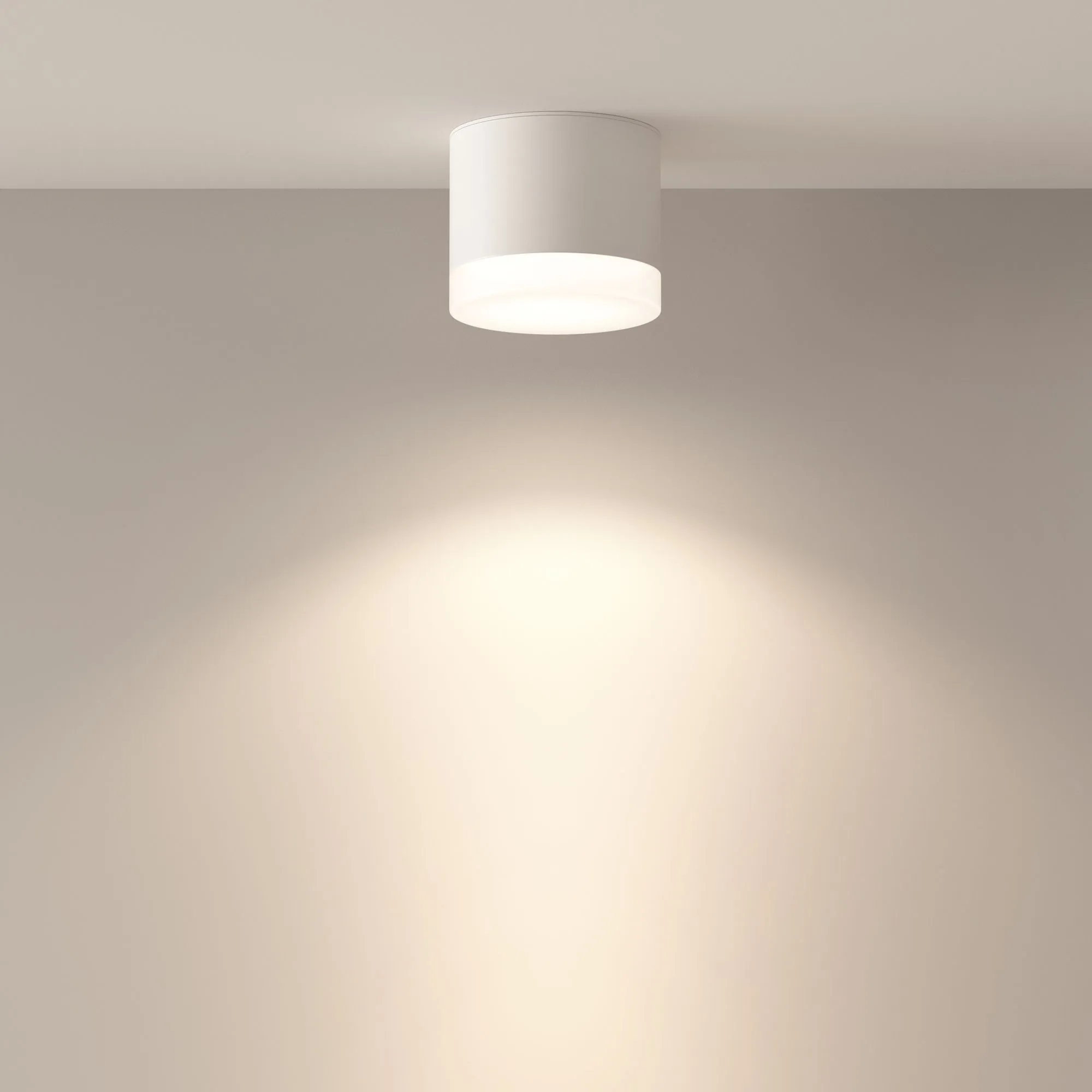 картинка Потолочный светильник Technical C087CL-GX53-W