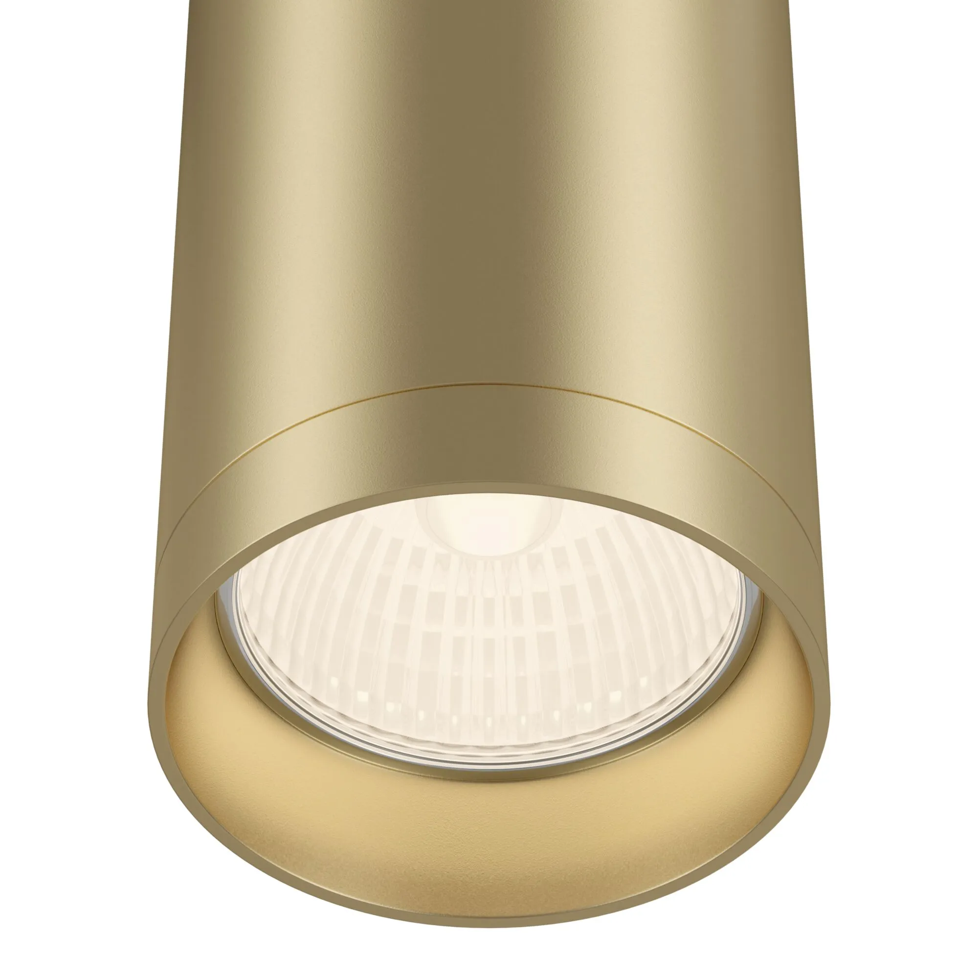 картинка Потолочный светильник Technical C010CL-01MG