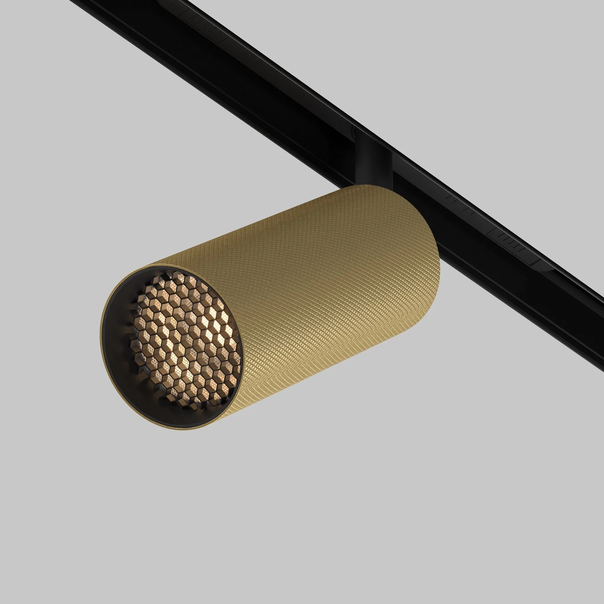 картинка Трековый светильник Technical TR097-2-12W3K-M-BMG