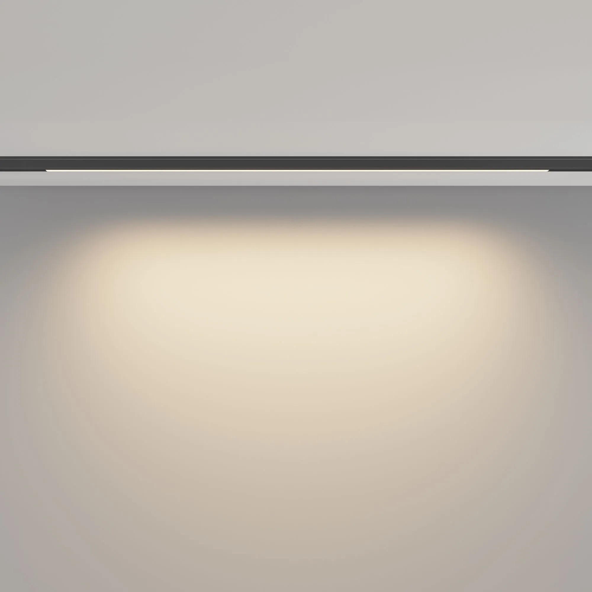 картинка Трековый светильник Technical TR190-1-10W3K-B