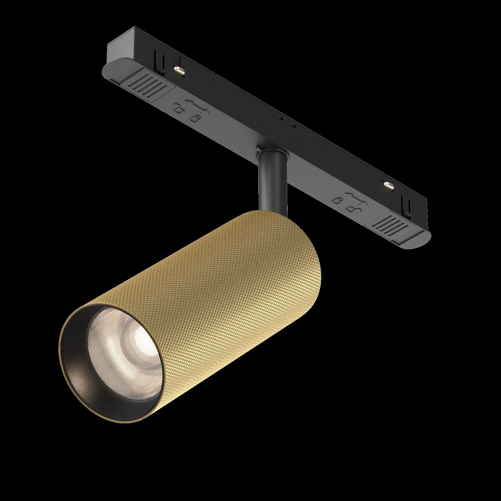 картинка Трековый светильник Technical TR097-2-12W4K-M-BMG