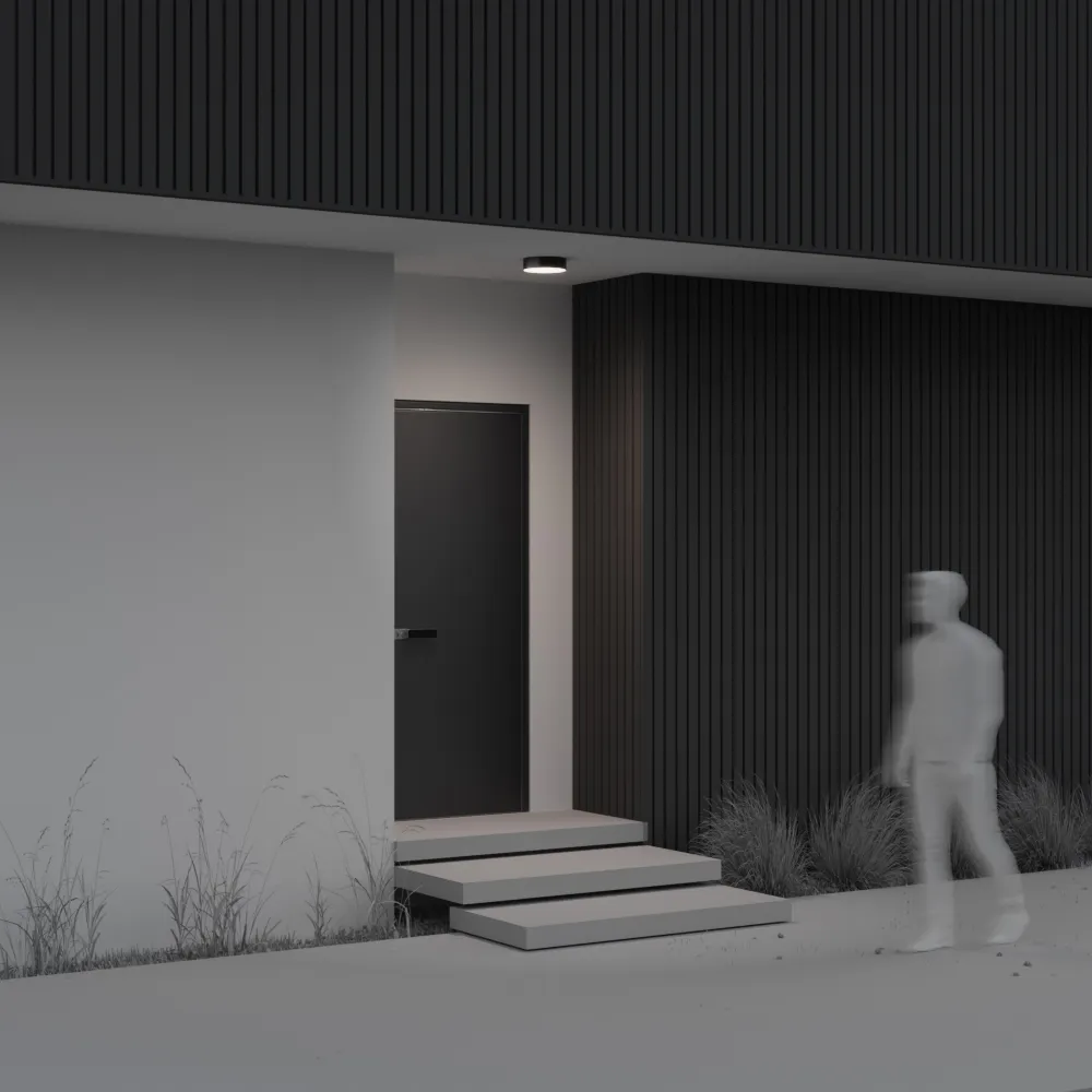 картинка Потолочный светильник Outdoor O431CL-L30B4K