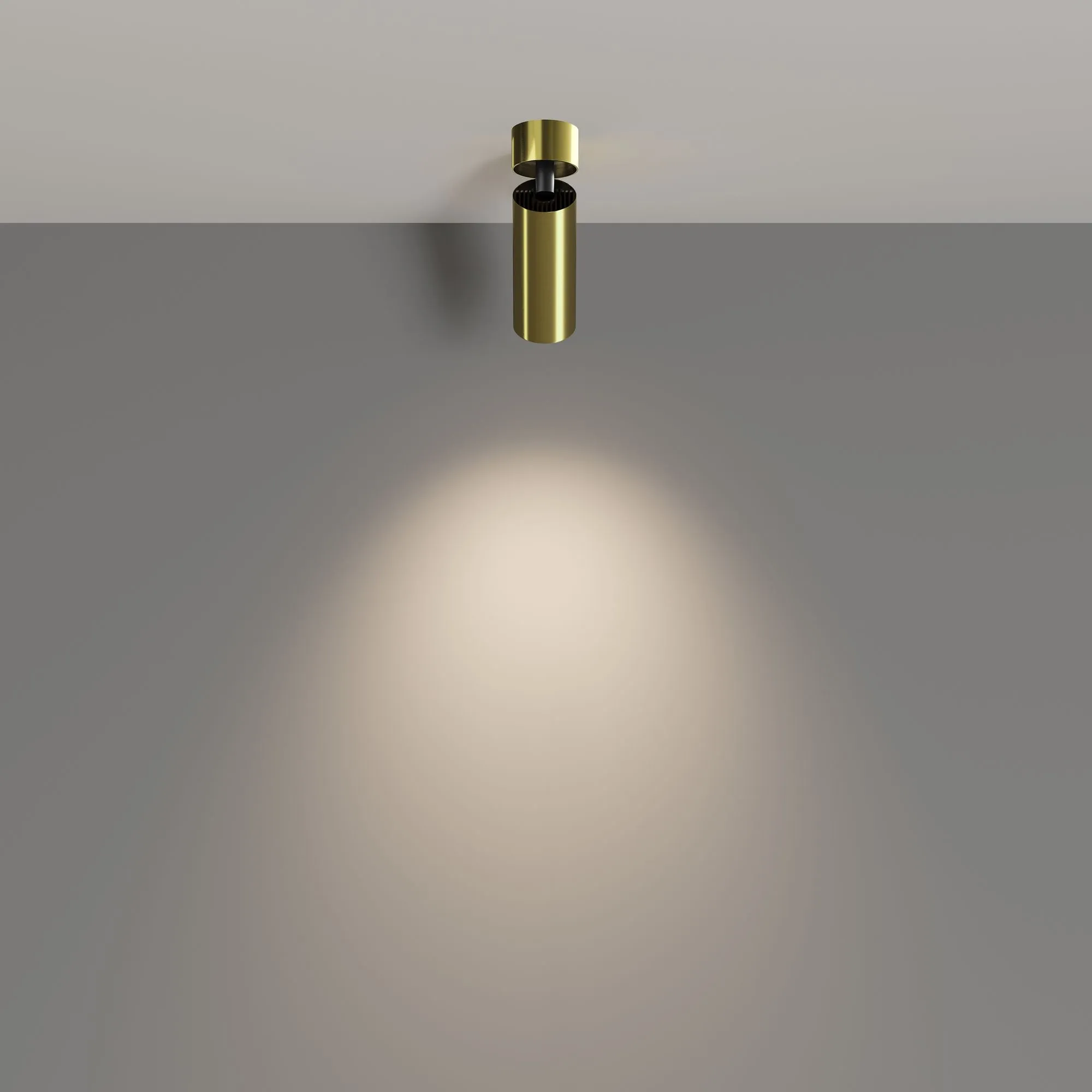 картинка Потолочный светильник Technical C055CL-L12W4K-W-BS