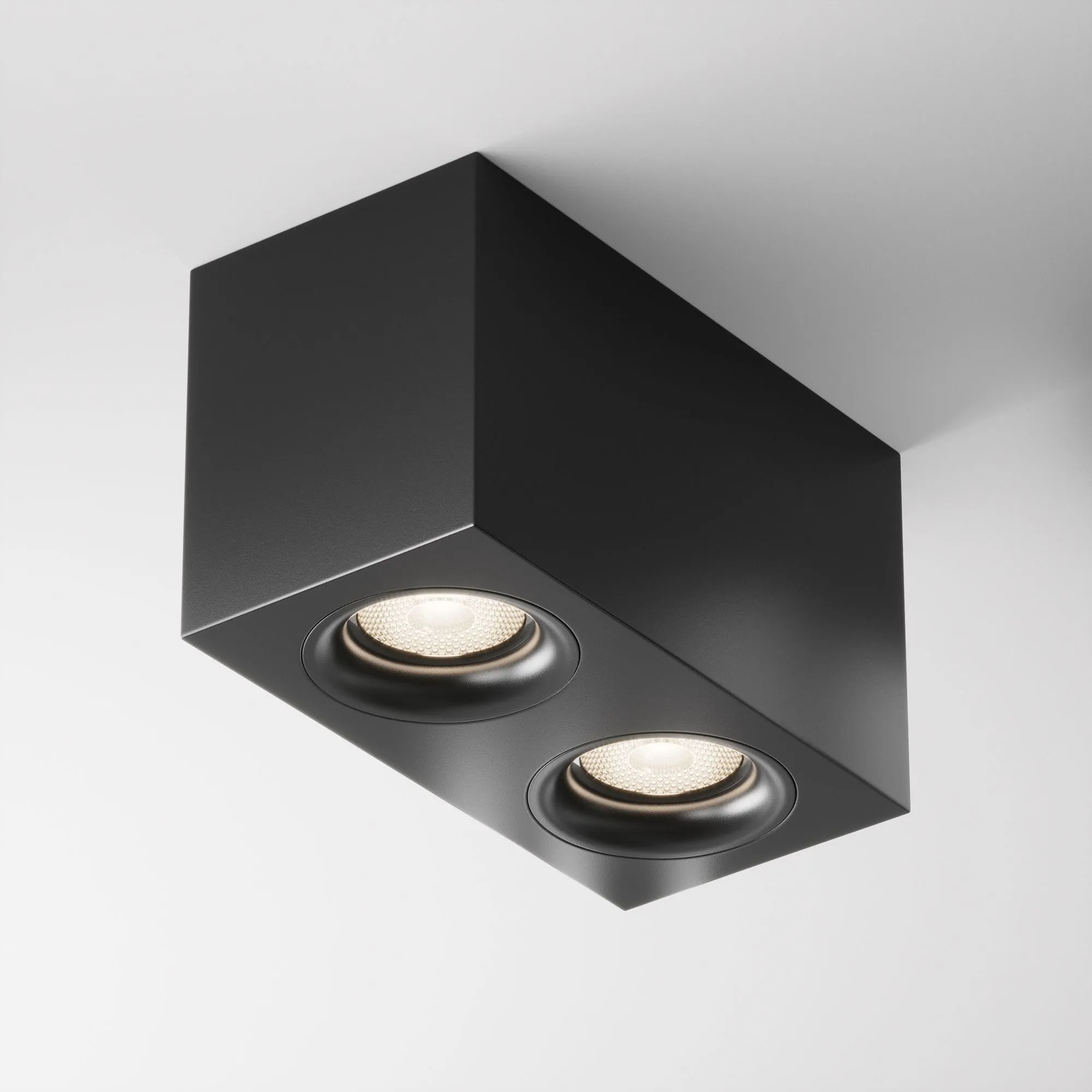 картинка Потолочный светильник Technical C013CL-02B