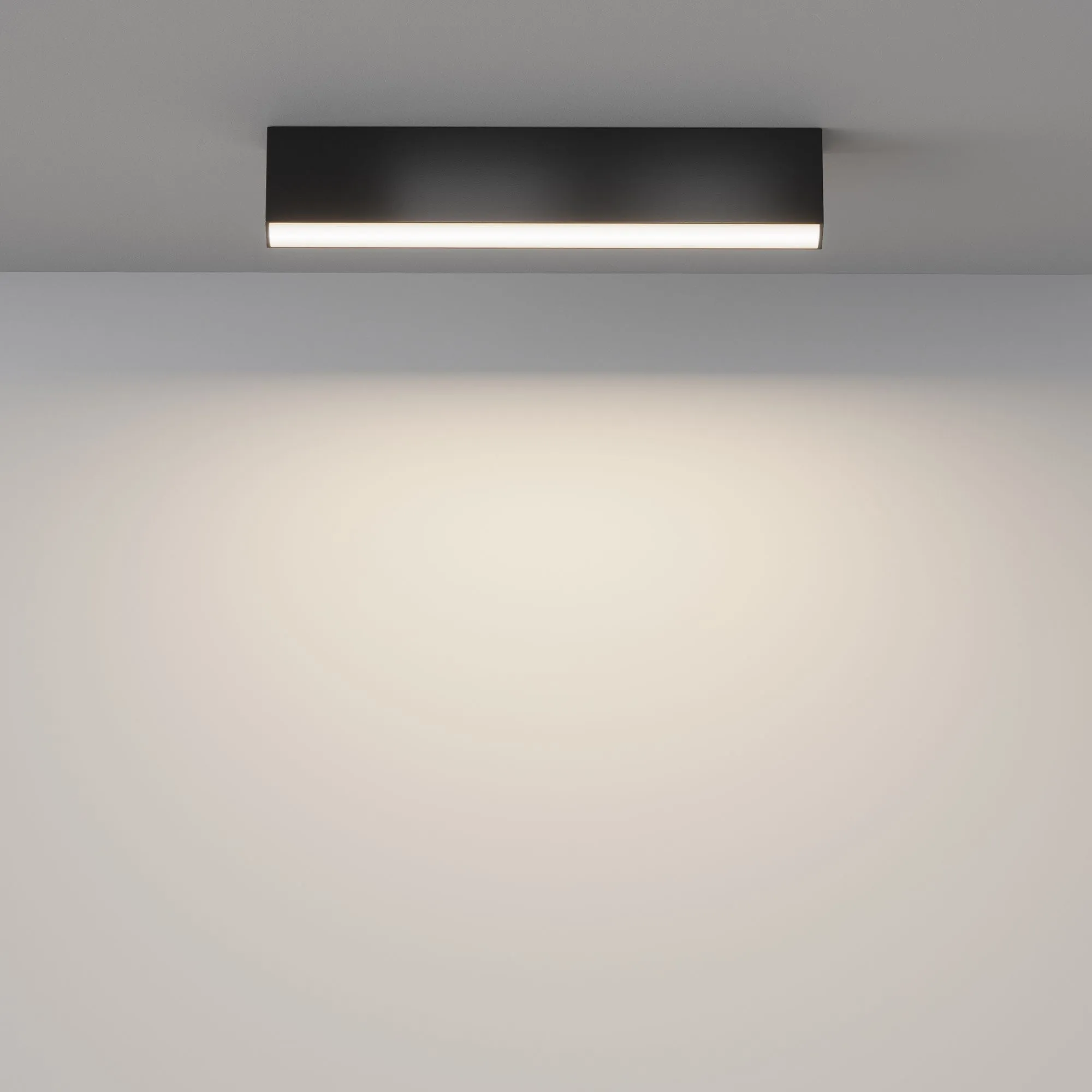 картинка Потолочный светильник Technical C068CL-20W3-6K-B