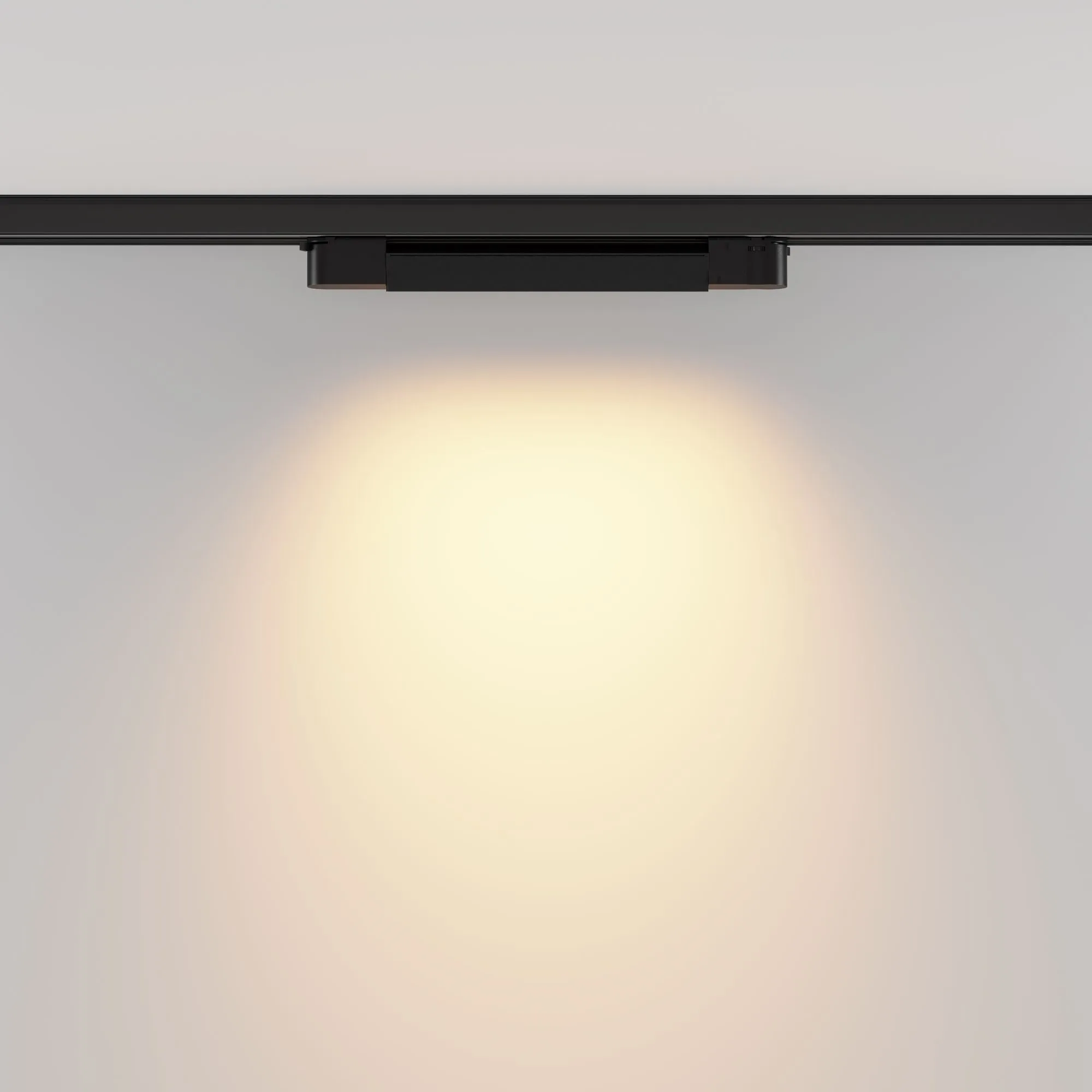 картинка Трековый светильник Technical TR196-3-10W2.7K-B