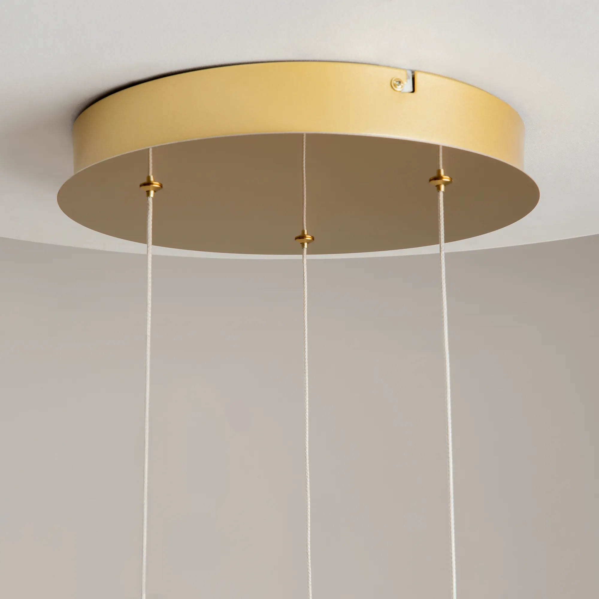 картинка Подвесной светильник Maytoni MOD347PL-L24BS3K