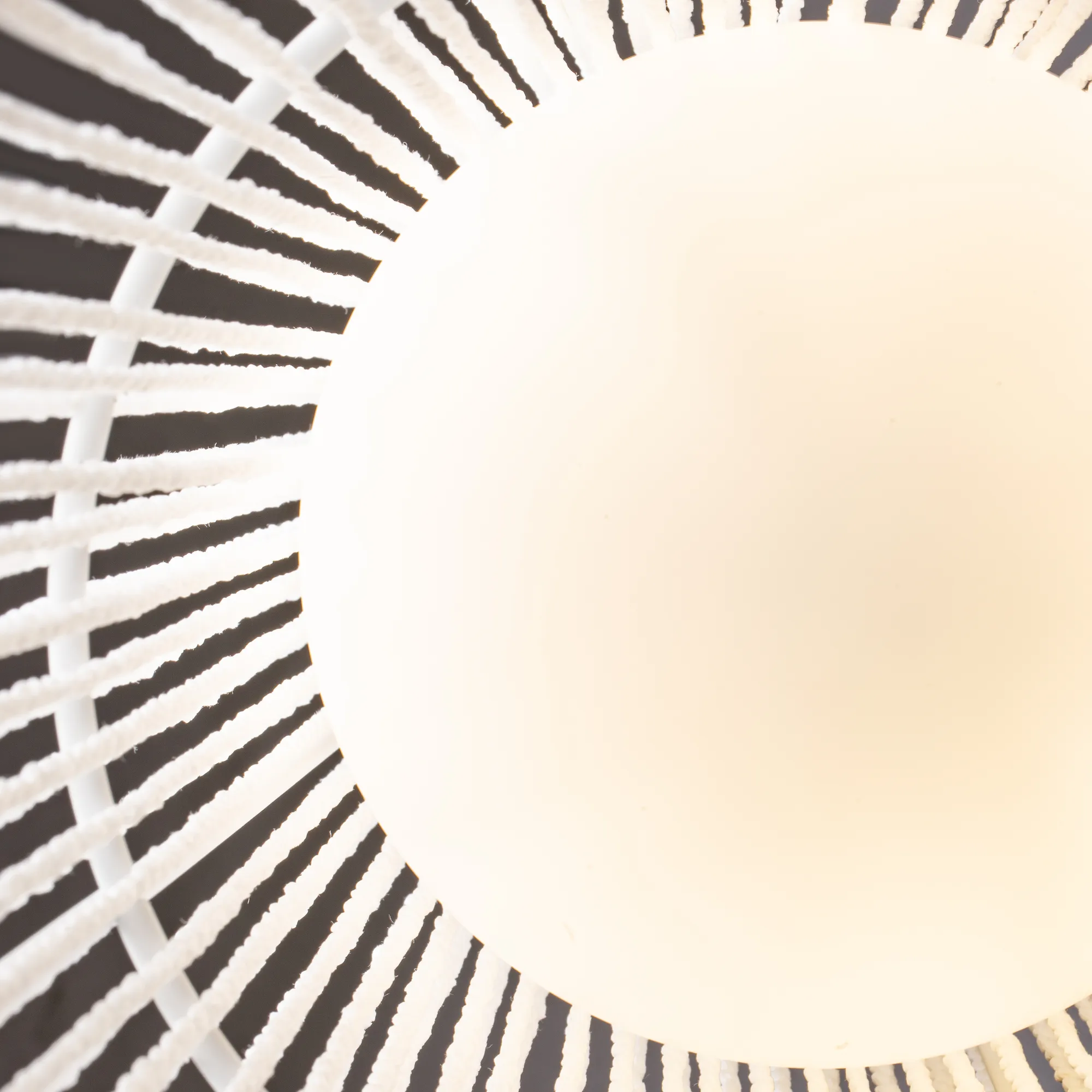 картинка Подвесной светильник Freya FR5405PL-01W2