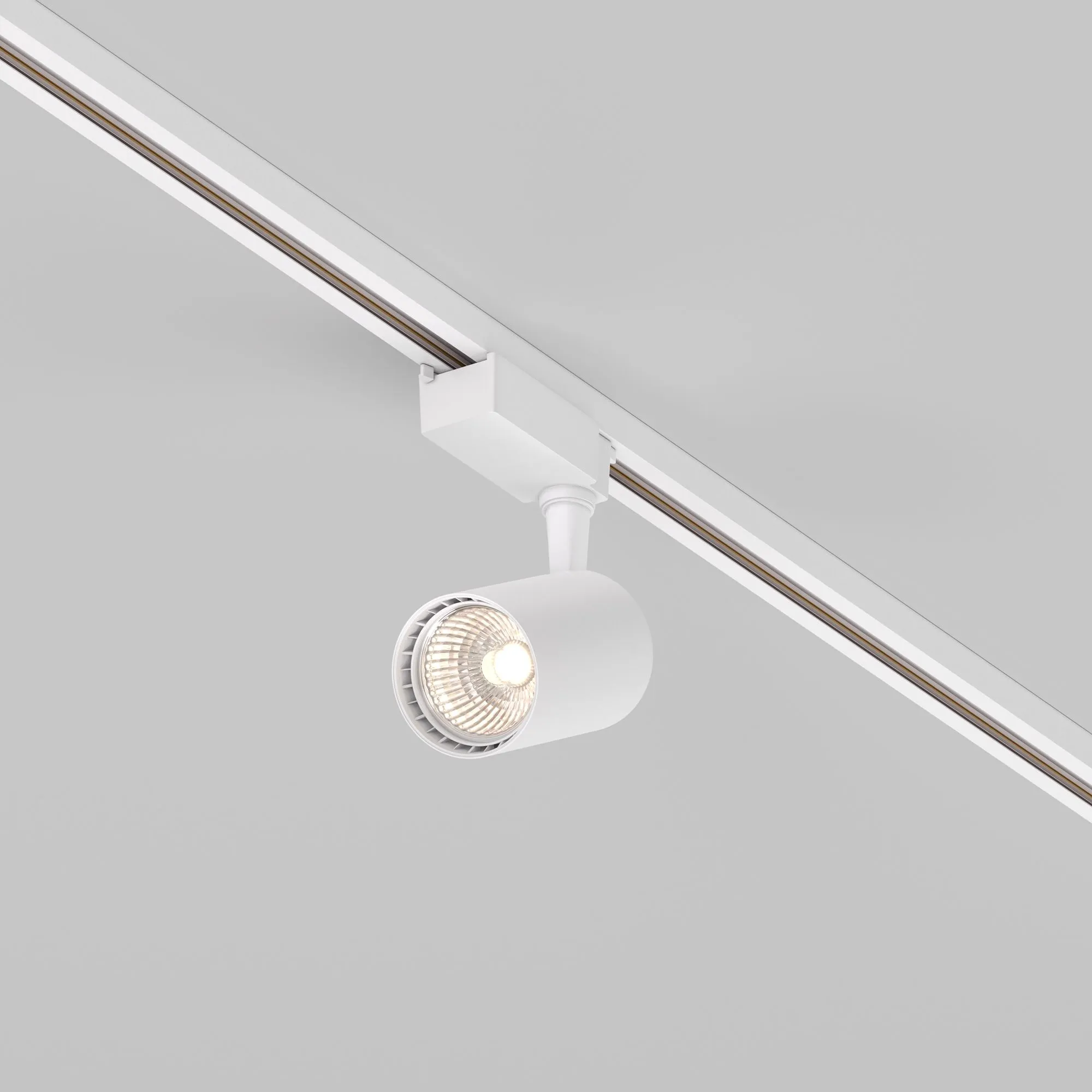 картинка Трековый светильник Technical TR003-1-10W3K-W-W