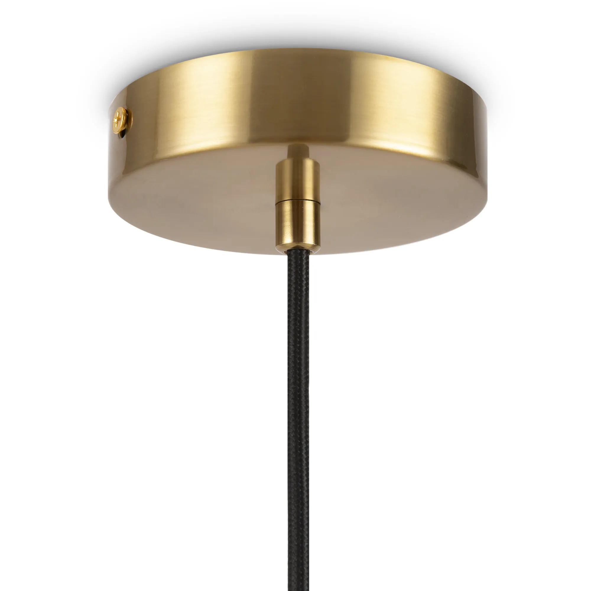 картинка Подвесной светильник Freya FR5130PL-01BS