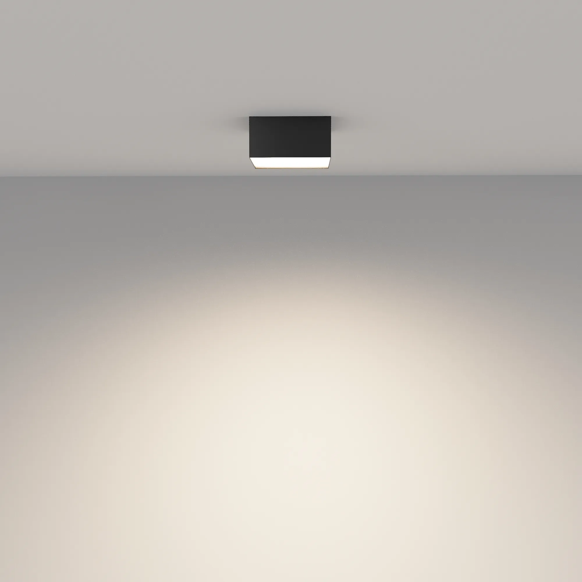 картинка Потолочный светильник Technical C032CL-12W3K-SQ-B