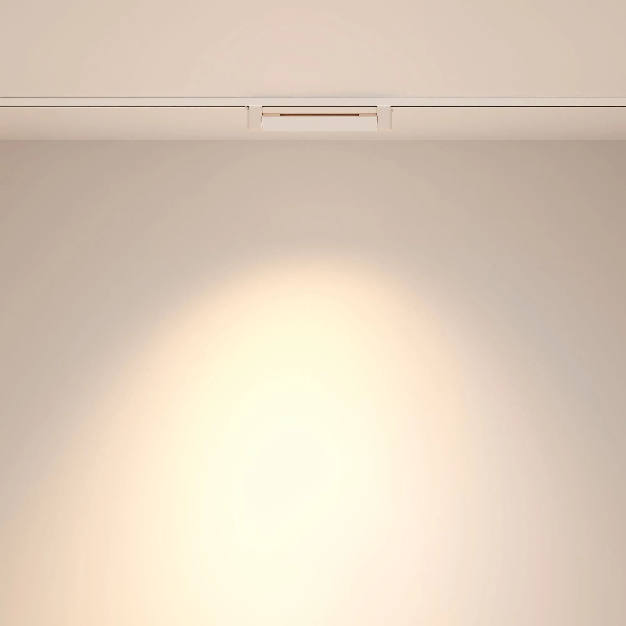 картинка Трековый светильник Technical TR010-1-10W4K-M-W