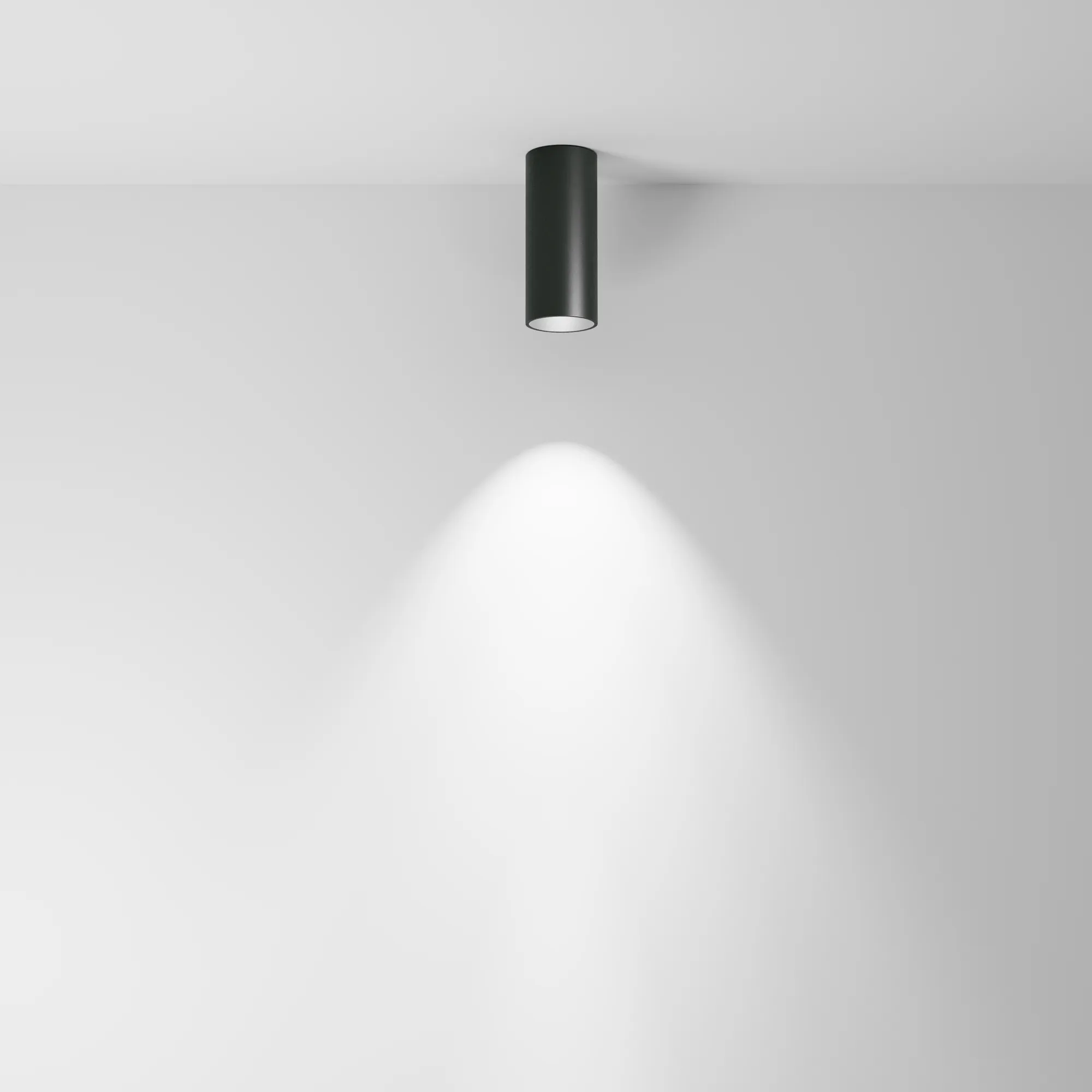 картинка Потолочный светильник Technical C056CL-L12B4K-W-D-B