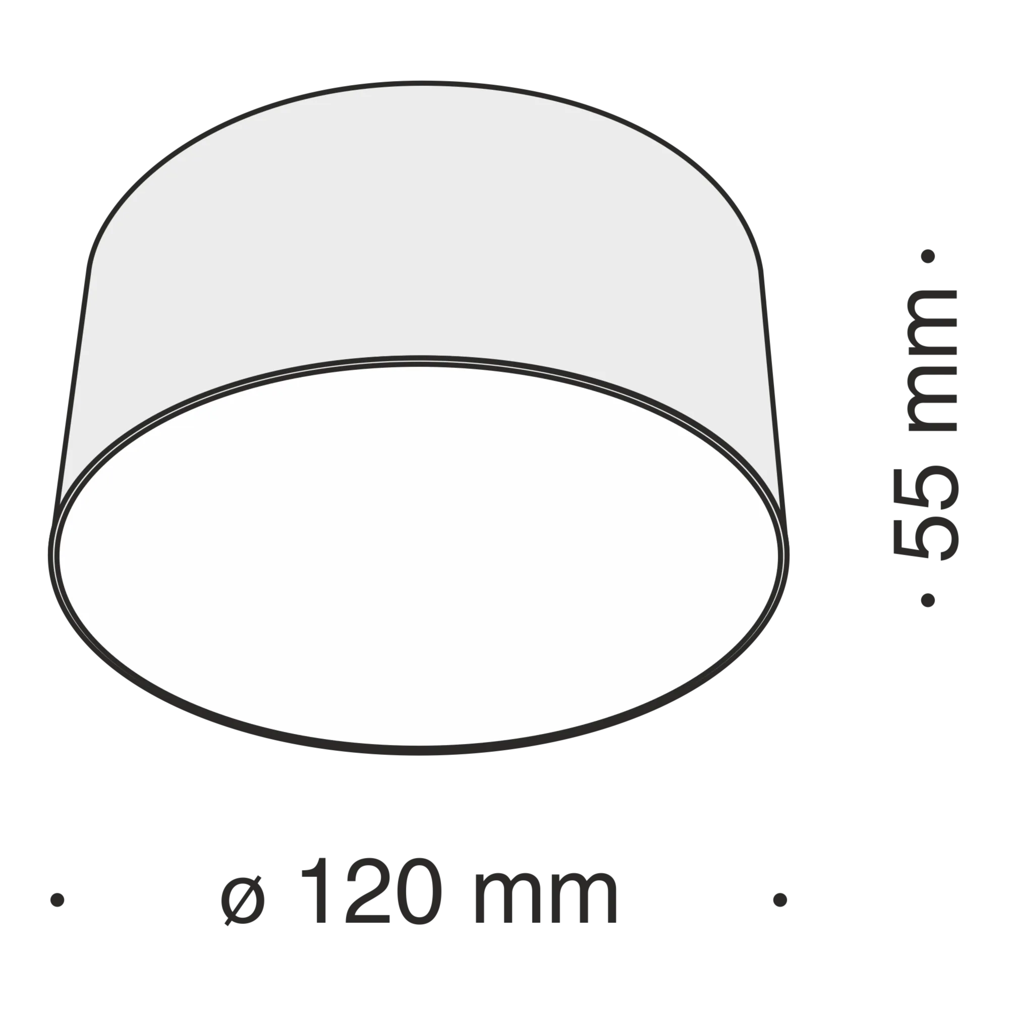 картинка Потолочный светильник Technical C032CL-L12W4K