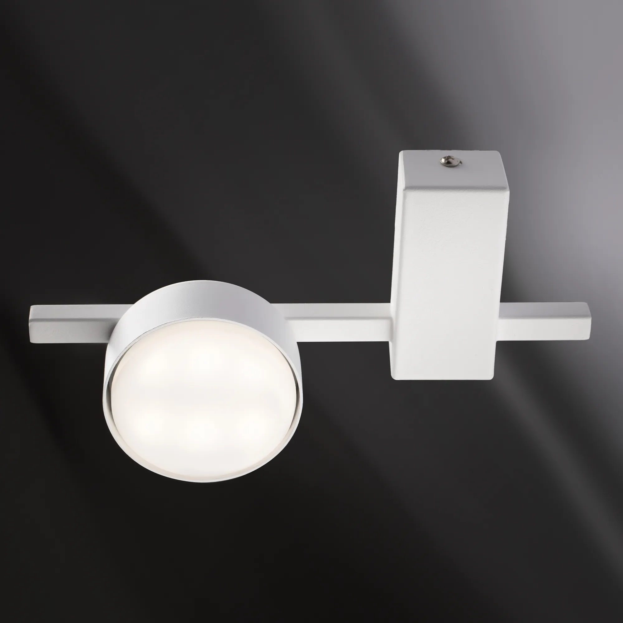 картинка Потолочный светильник Freya FR5363CL-01W