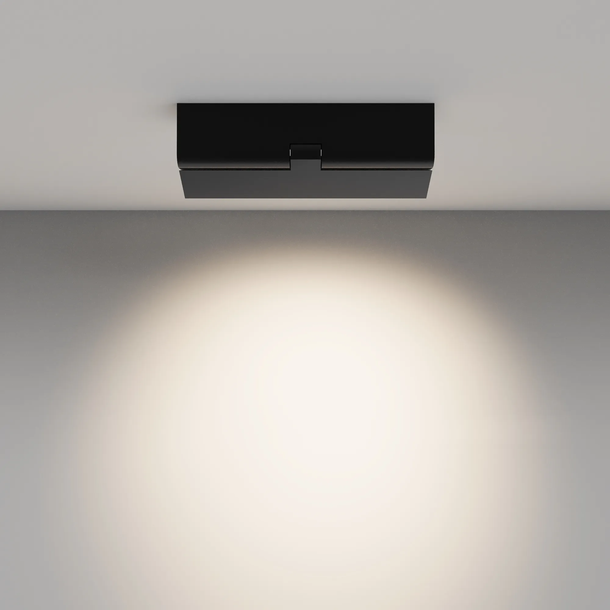 картинка Потолочный светильник Technical C136CL-12W4K-B