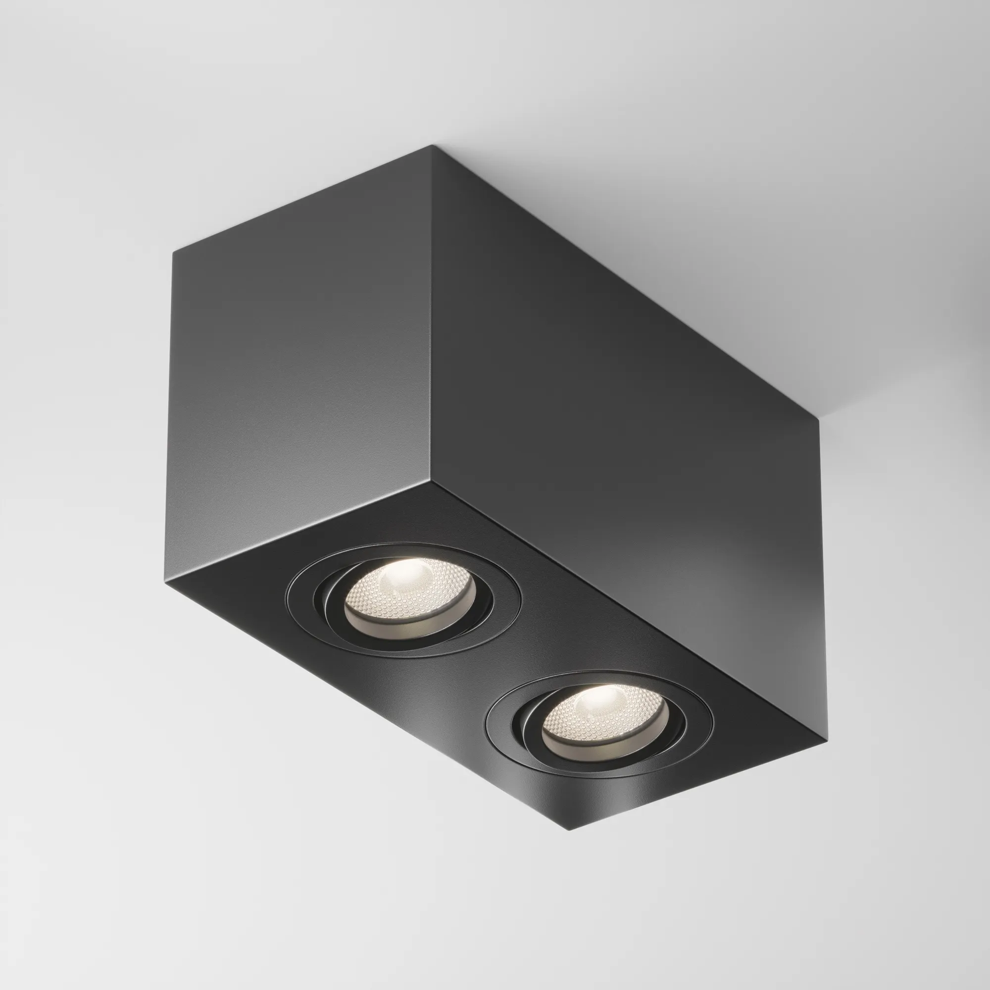 картинка Потолочный светильник Technical C017CL-02B