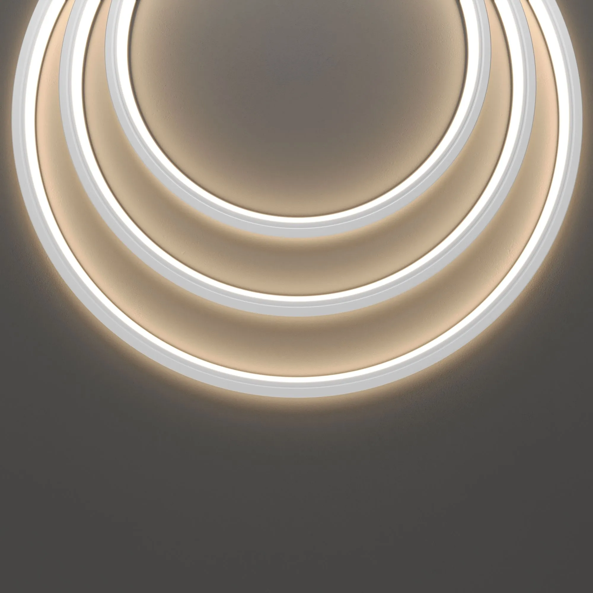 картинка Гибкий неон Led Strip 432016