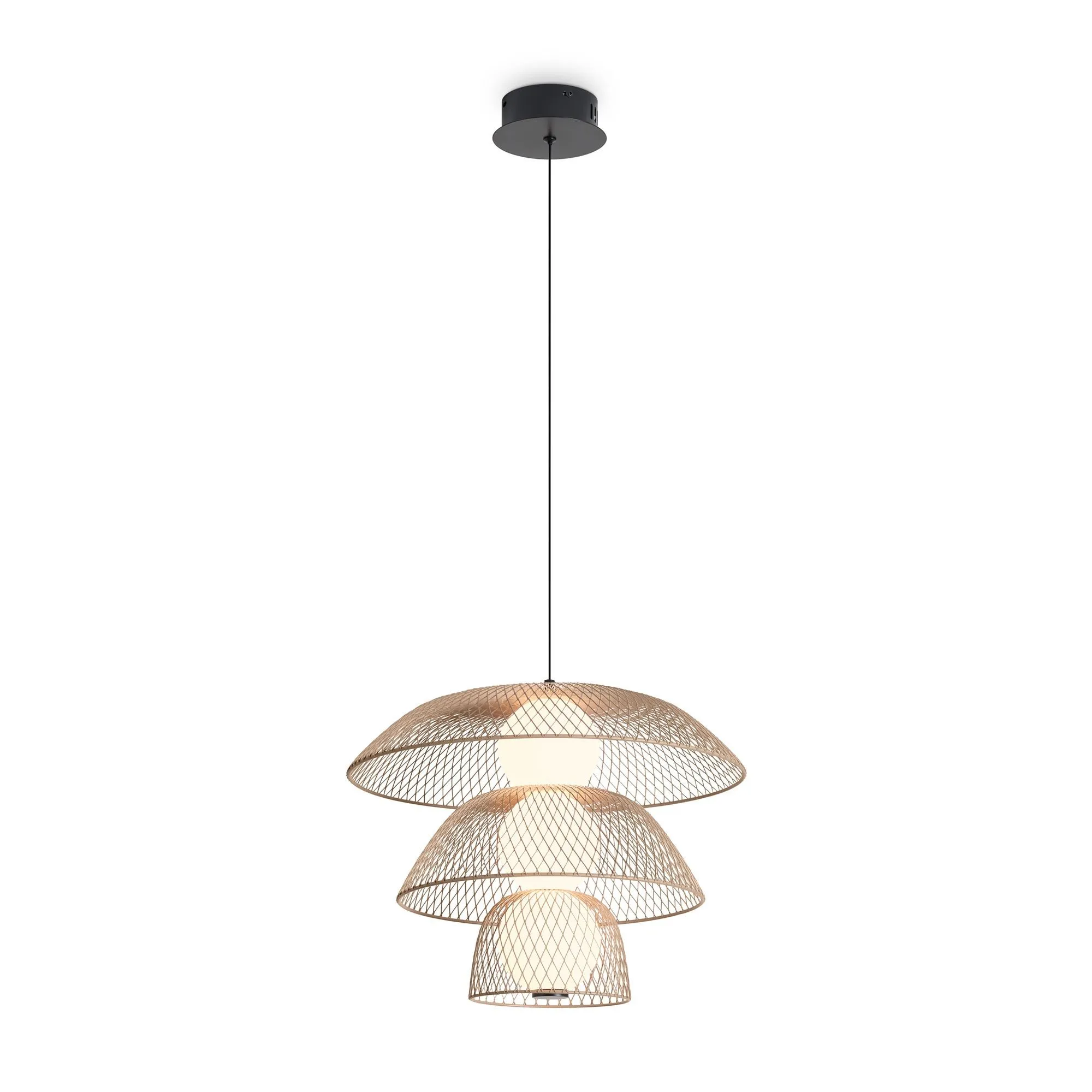 картинка Подвесной светильник Freya FR5545PL-L5BG