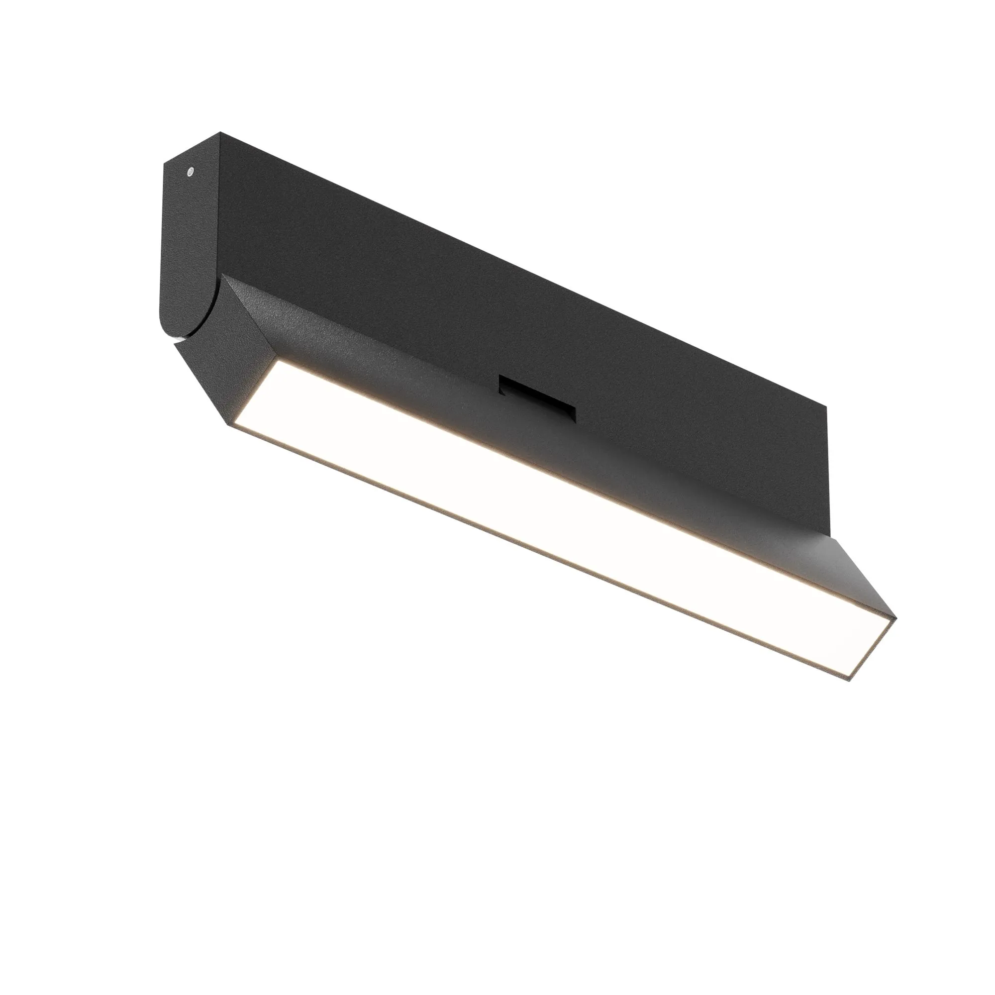 картинка Потолочный светильник Technical C133CL-12W3K-B