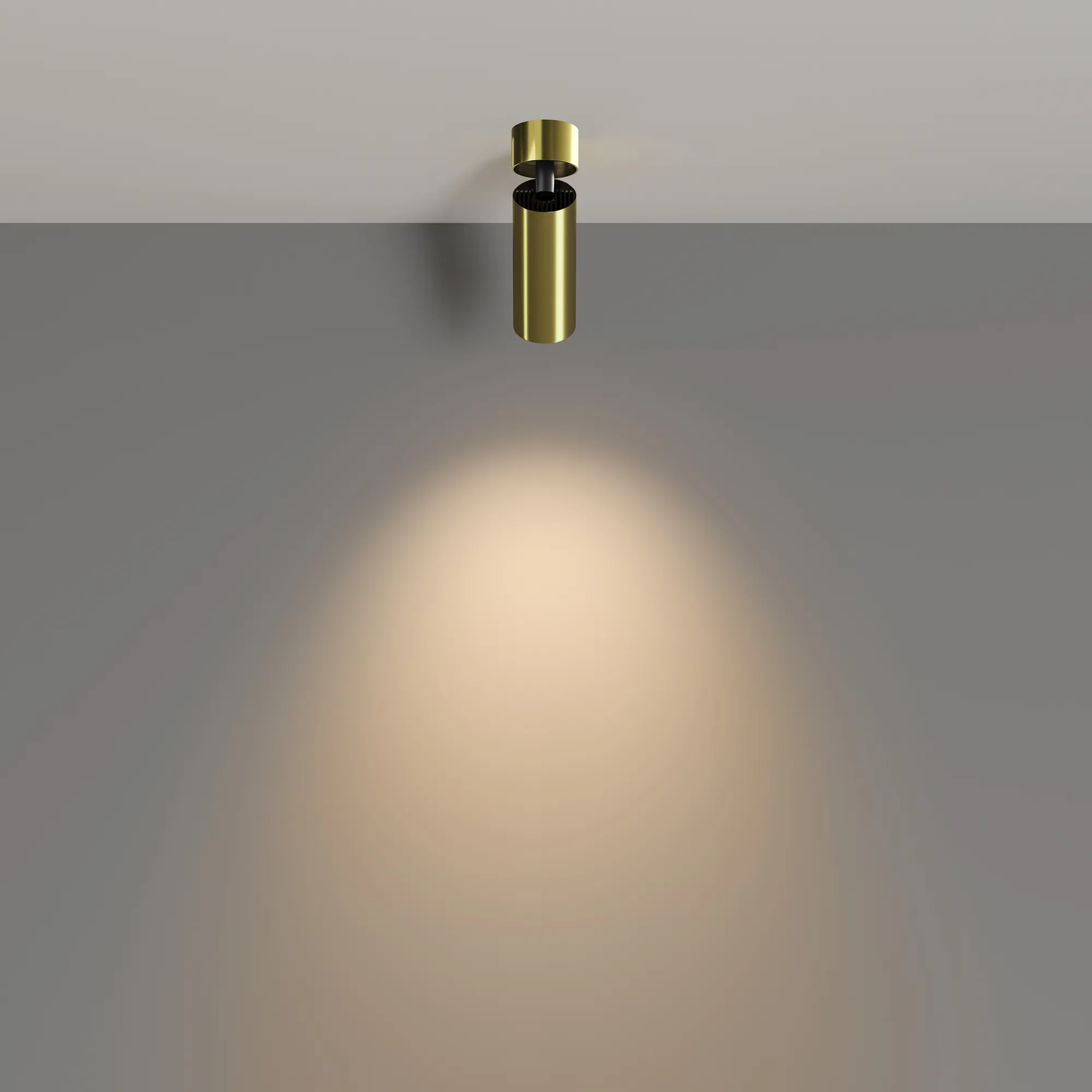 картинка Потолочный светильник Technical C055CL-L12W3K-W-BS