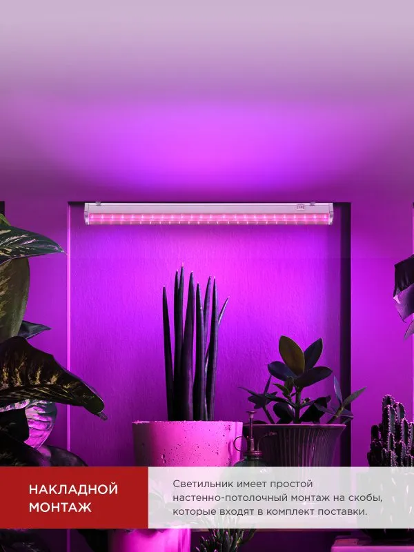 картинка Светильник светодиодный СПБ-Т5 STD-ФИТО красно-синий спектр 20Вт 1200мм IN HOME