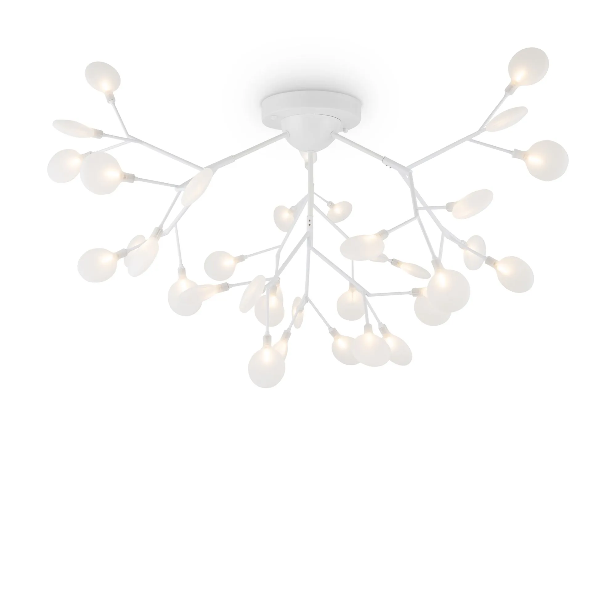 картинка Потолочный светильник Freya FR5049CL-36W1
