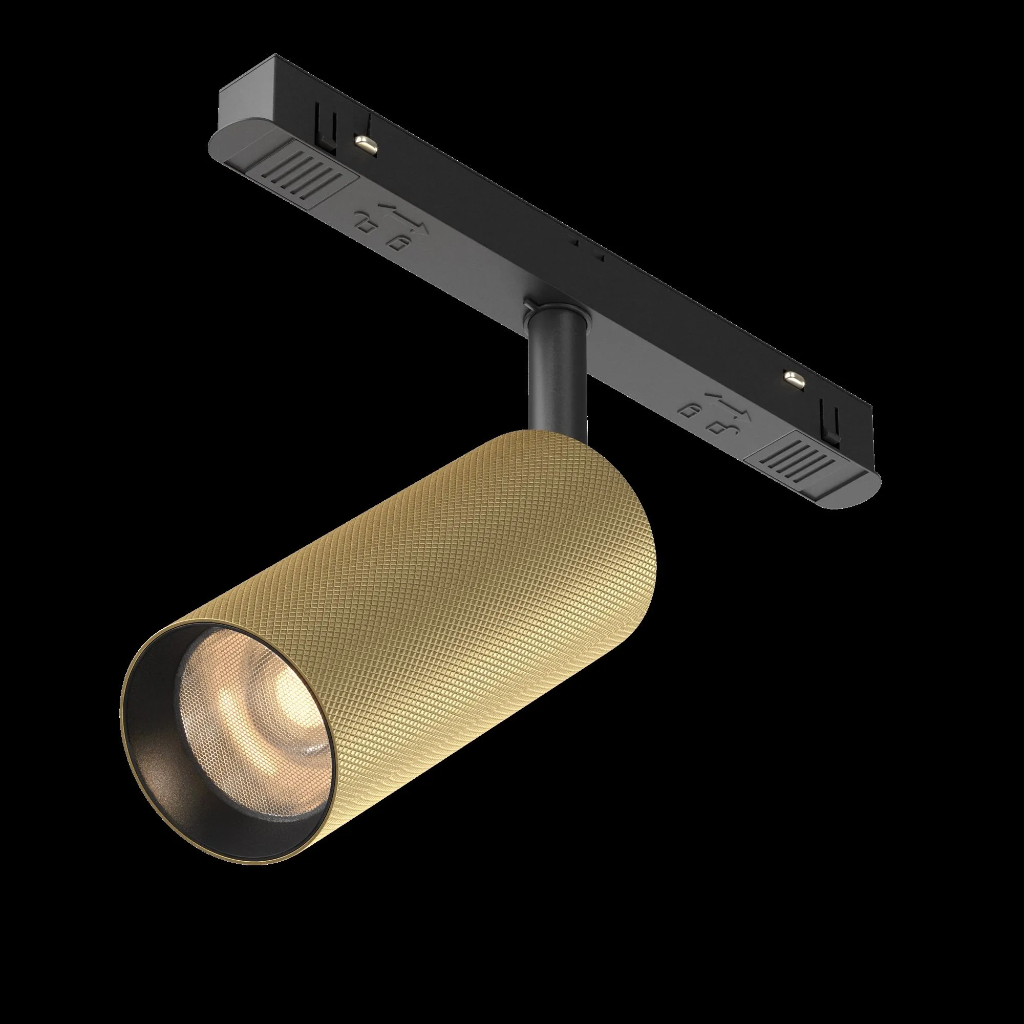 картинка Трековый светильник Technical TR097-2-12W3K-M-BMG
