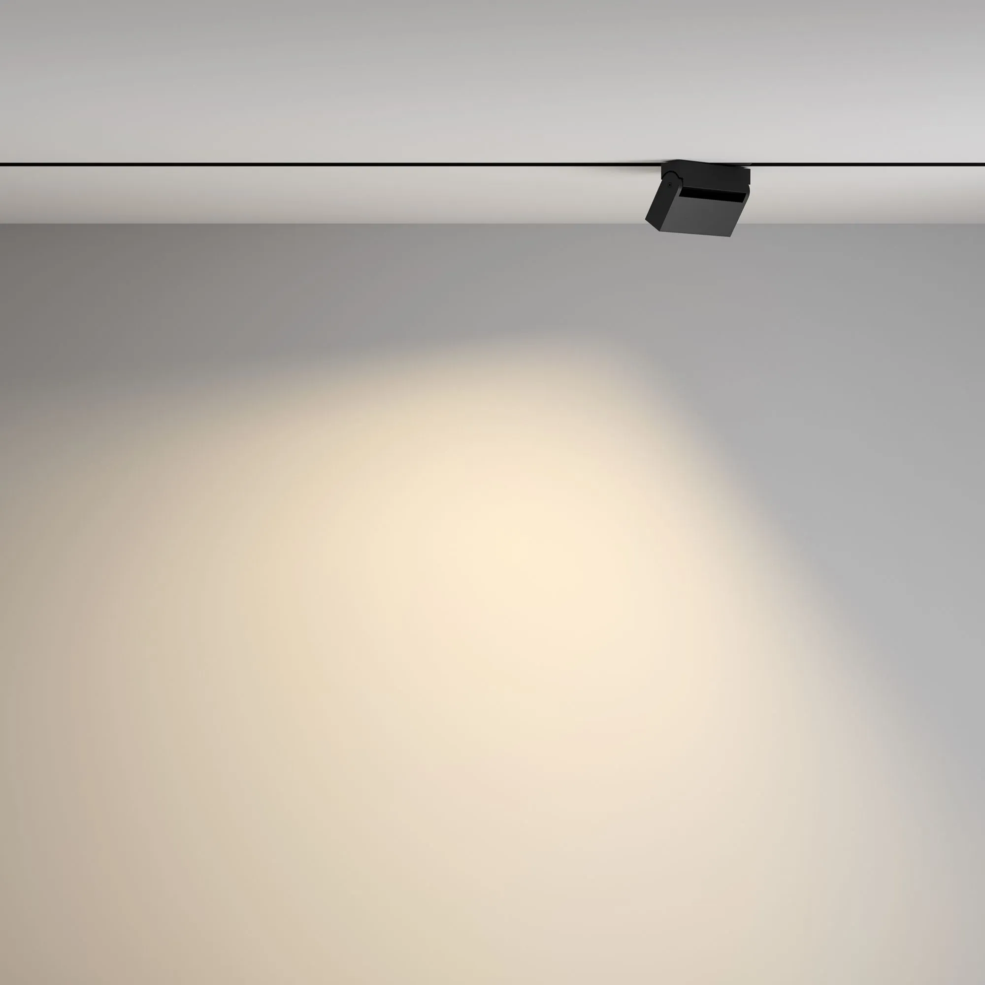 картинка Трековый светильник Technical TR077-2-10W3K-B