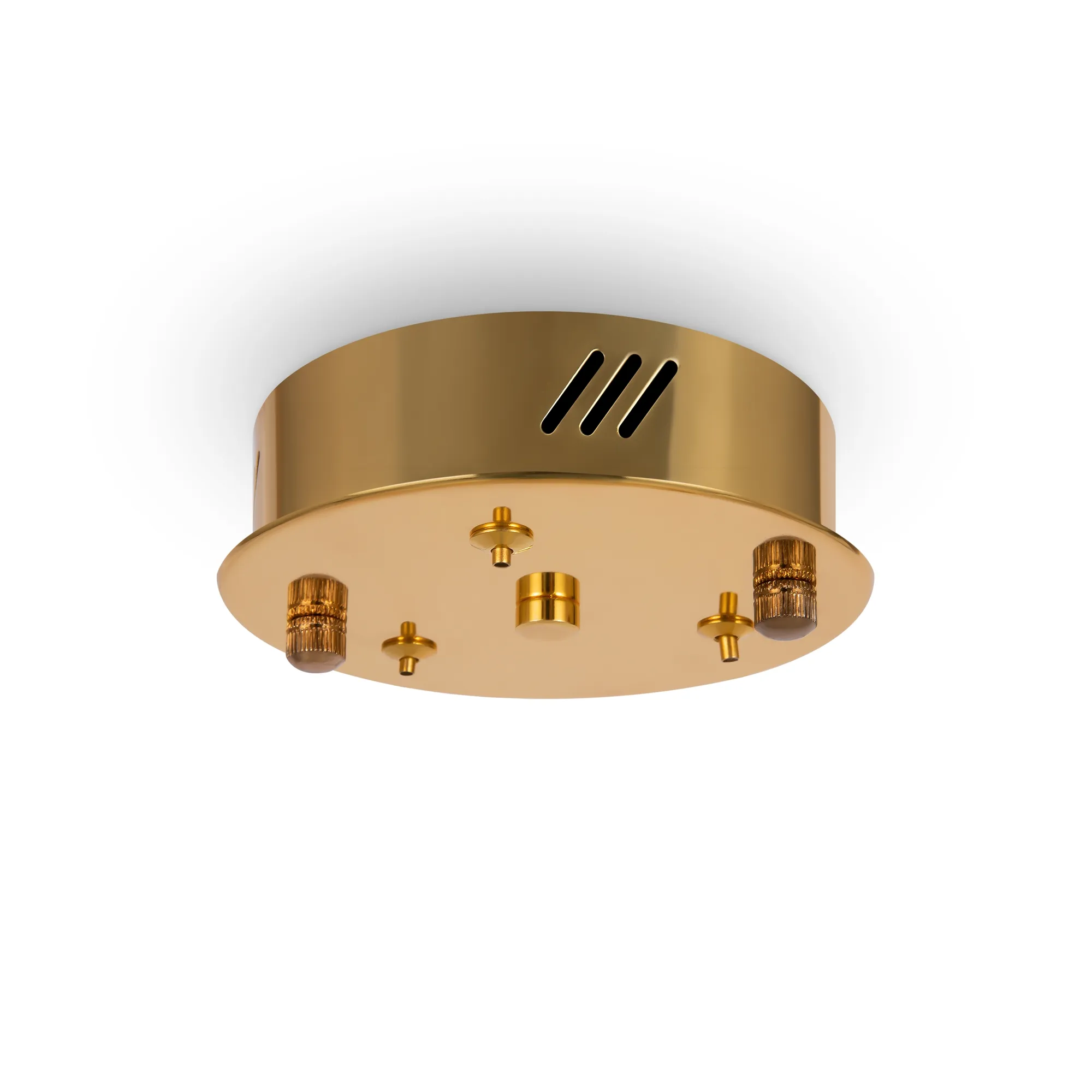 картинка Подвесной светильник Freya FR5257PL-L25G