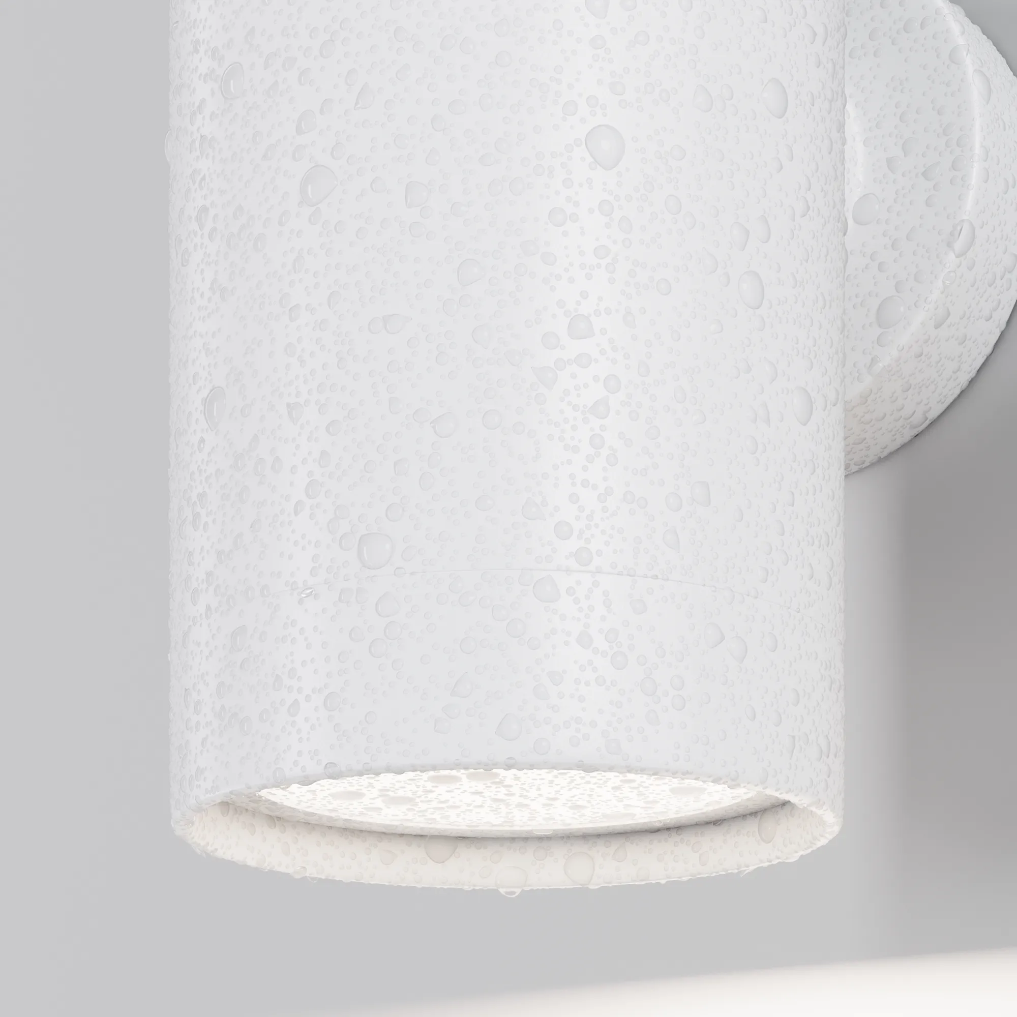 картинка Настенный светильник (бра) Outdoor O493WL-01W