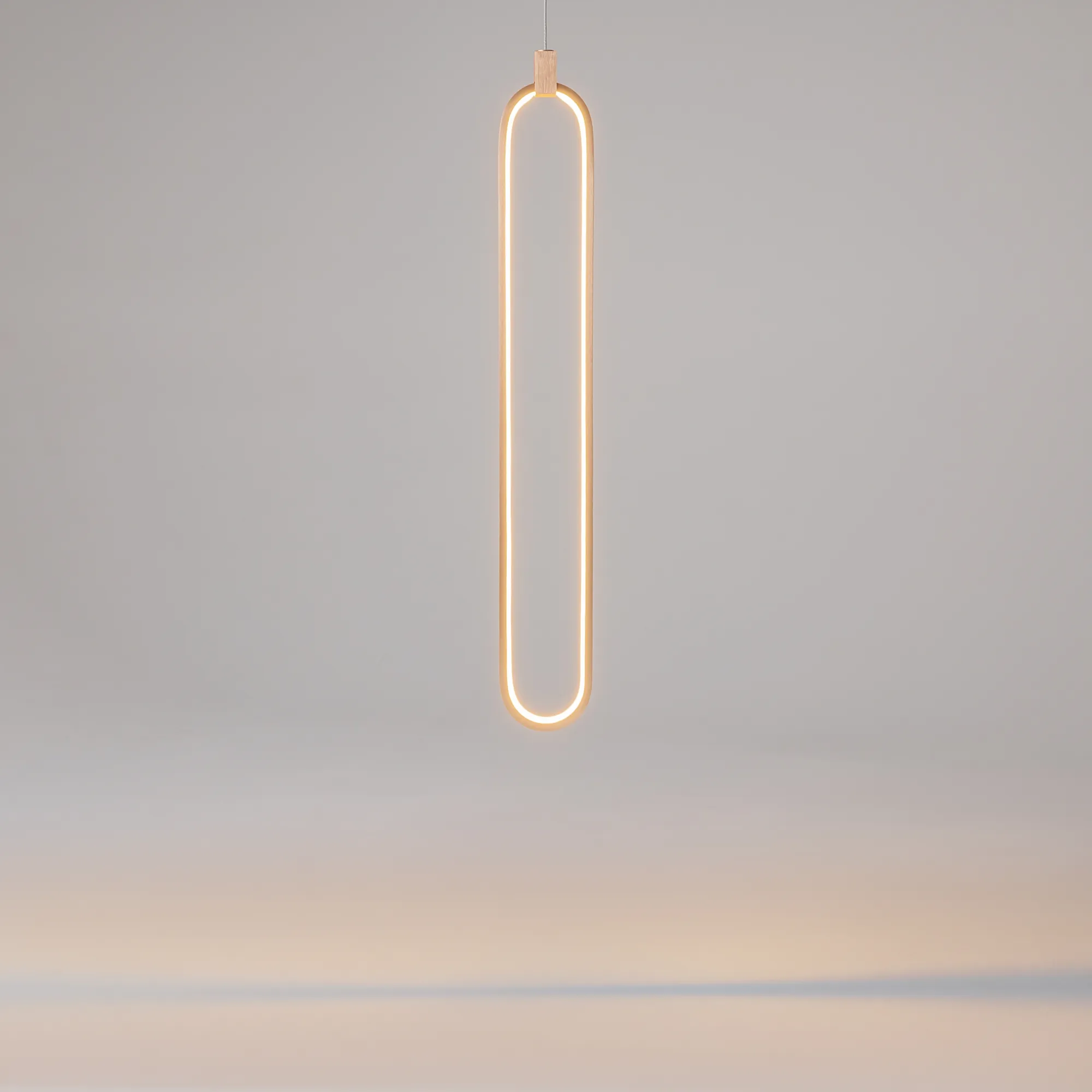 картинка Подвесной светильник Maytoni MOD017PL-L13G