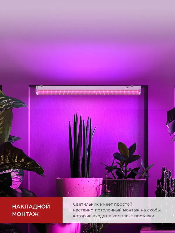 картинка Светильник светодиодный СПБ-Т5 STD-ФИТО красно-синий спектр 10Вт 600мм IN HOME