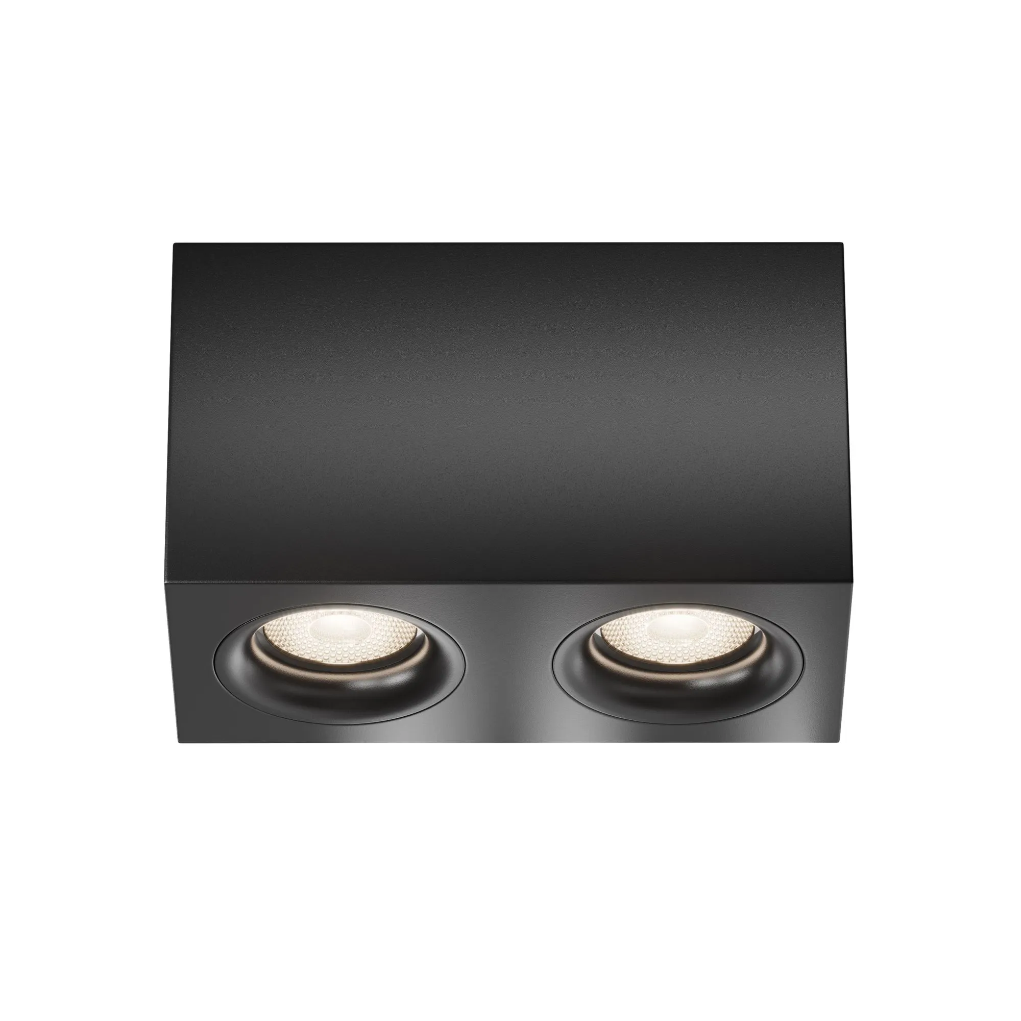 картинка Потолочный светильник Technical C013CL-02B