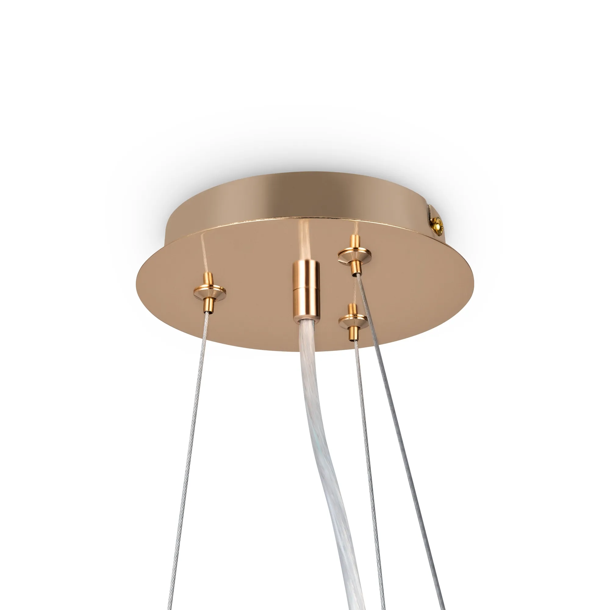 картинка Подвесной светильник Freya FR1010PL-10G