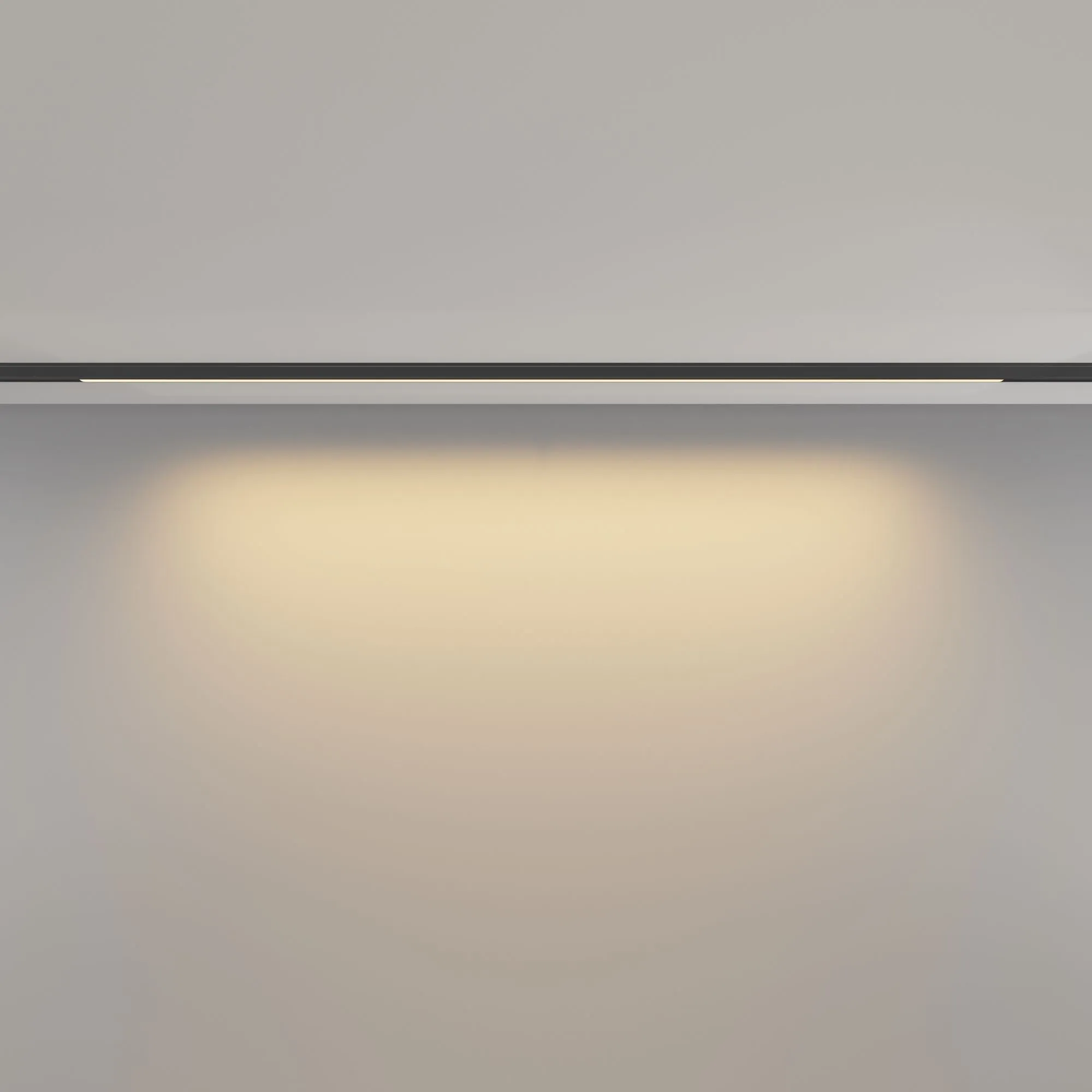 картинка Трековый светильник Technical TR190-1-15W2.7K-B