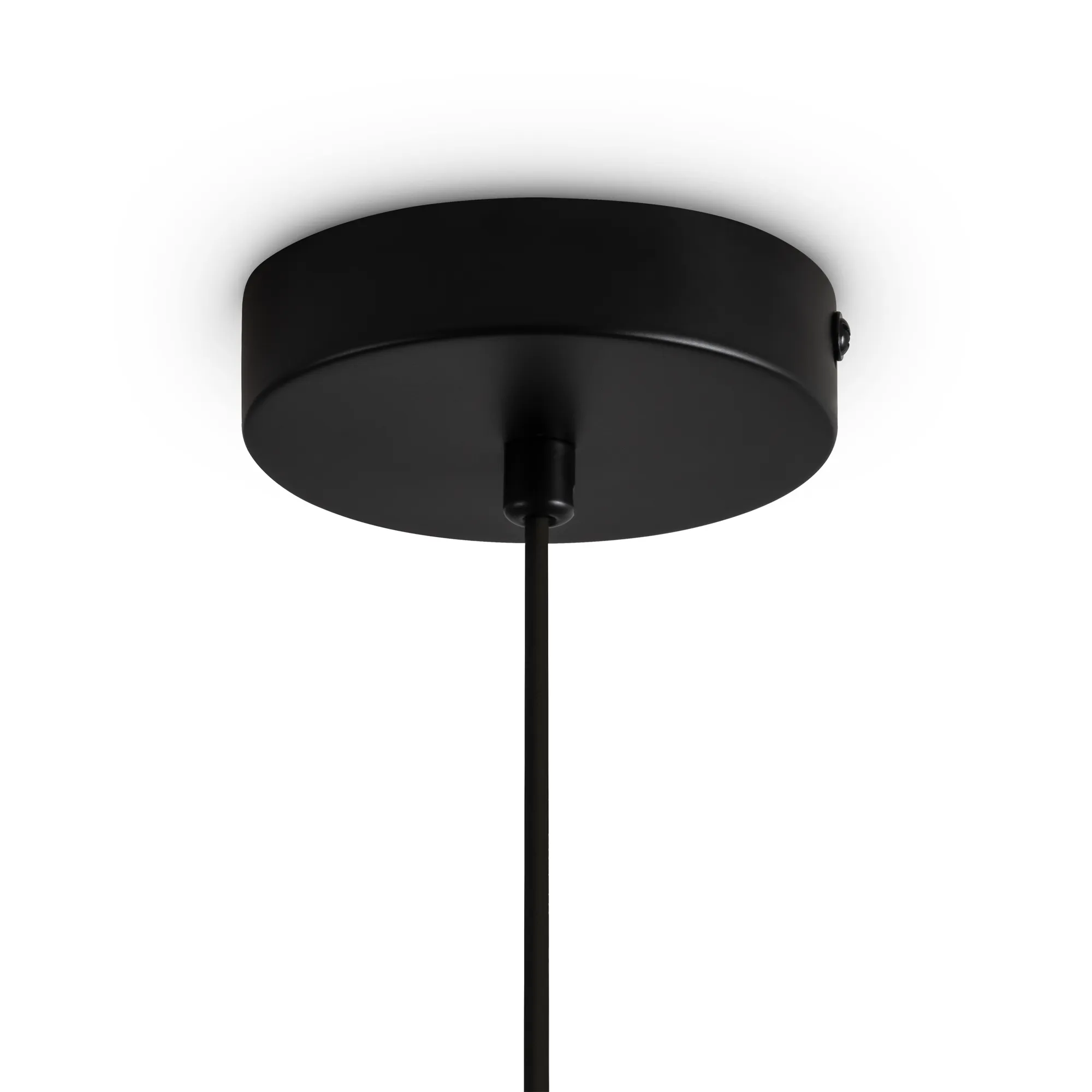 картинка Подвесной светильник Freya FR5593PL-01B