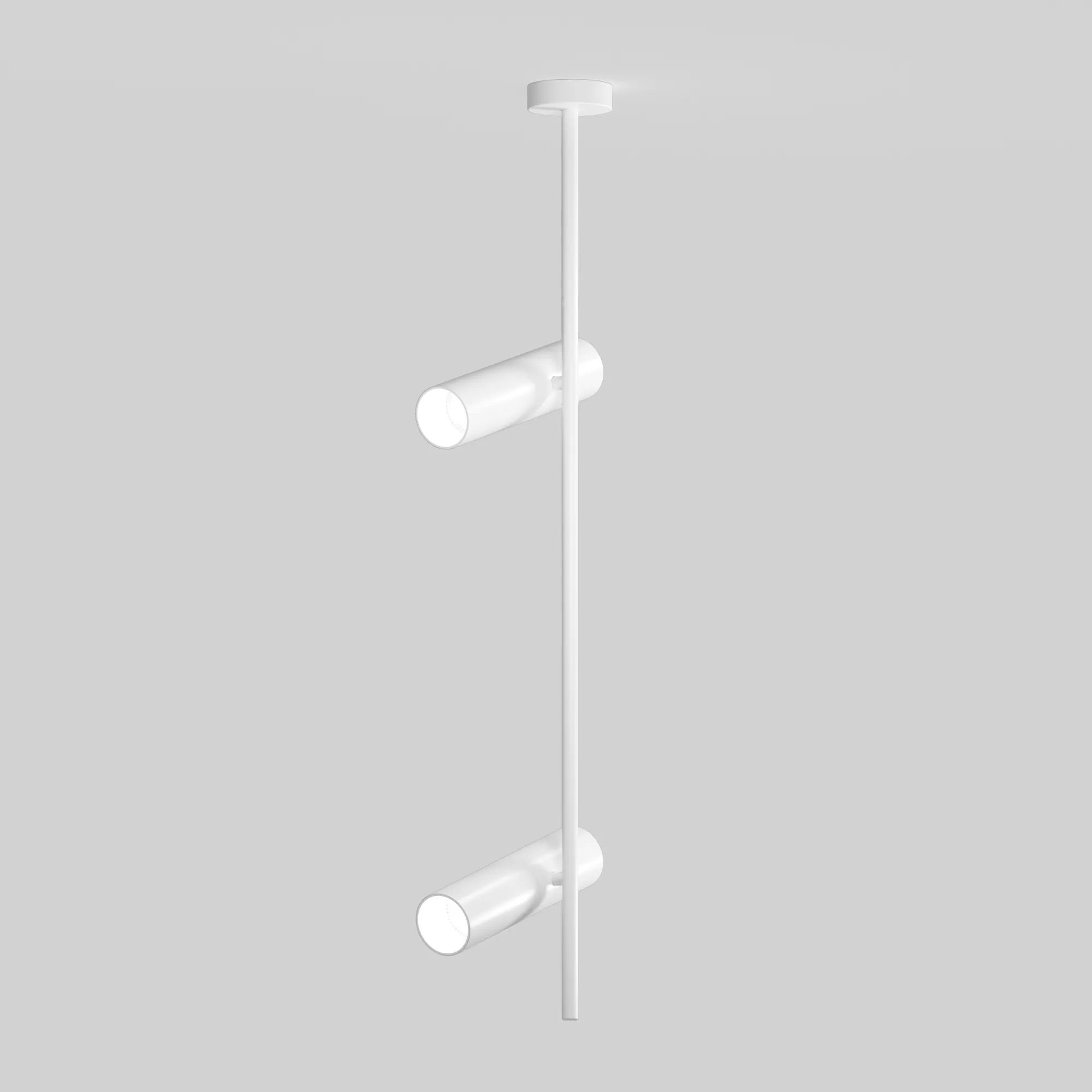 картинка Потолочный светильник Technical C021CL-02W