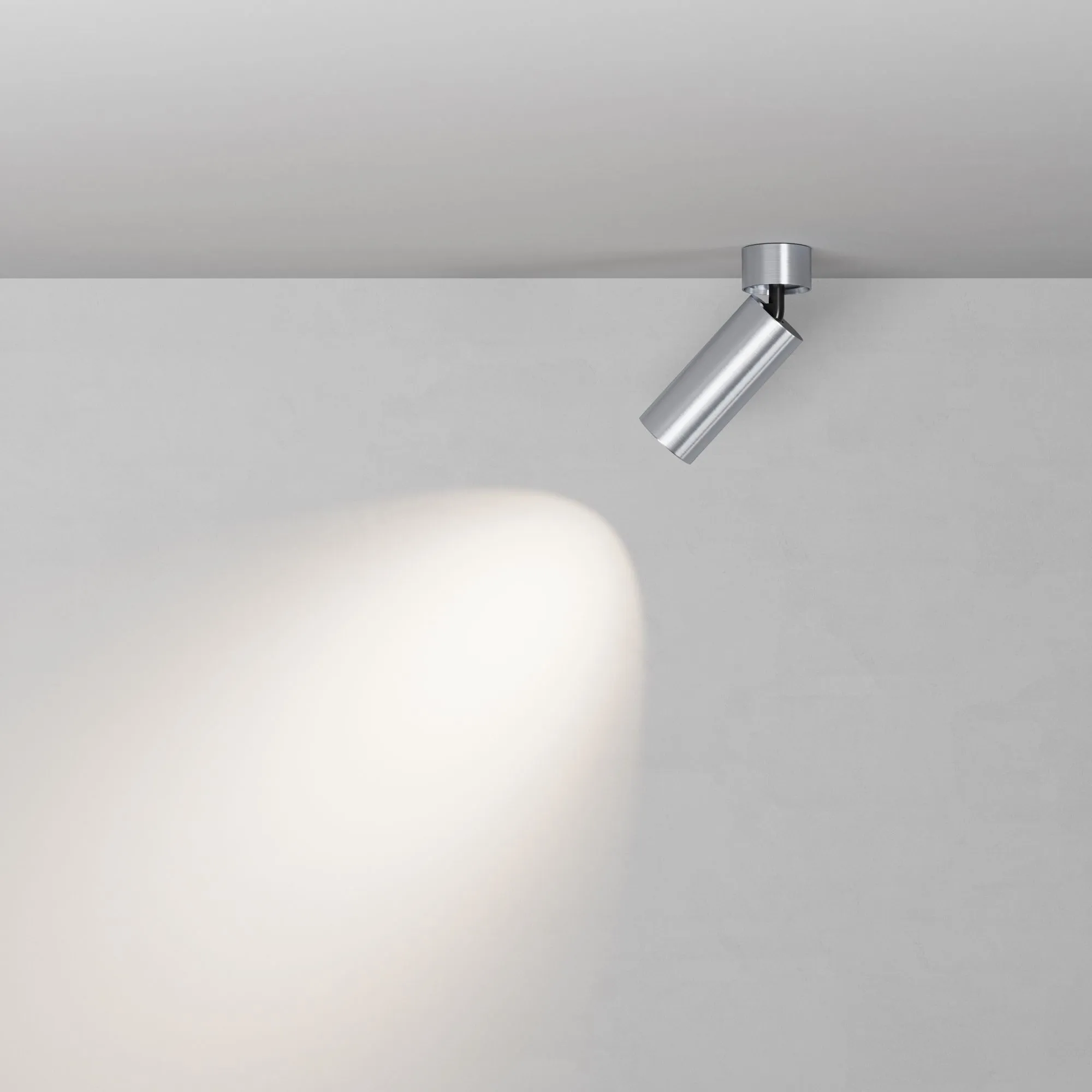 картинка Потолочный светильник Technical C055CL-L12W4K-W-PT
