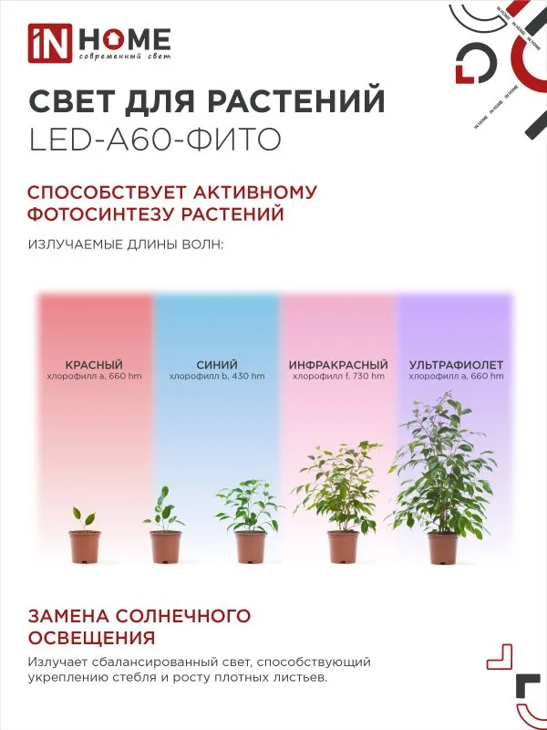 картинка Лампа светодиодная LED-A60 STD-ФИТО красно-синий спектр 15Вт 230В Е27 IN HOME