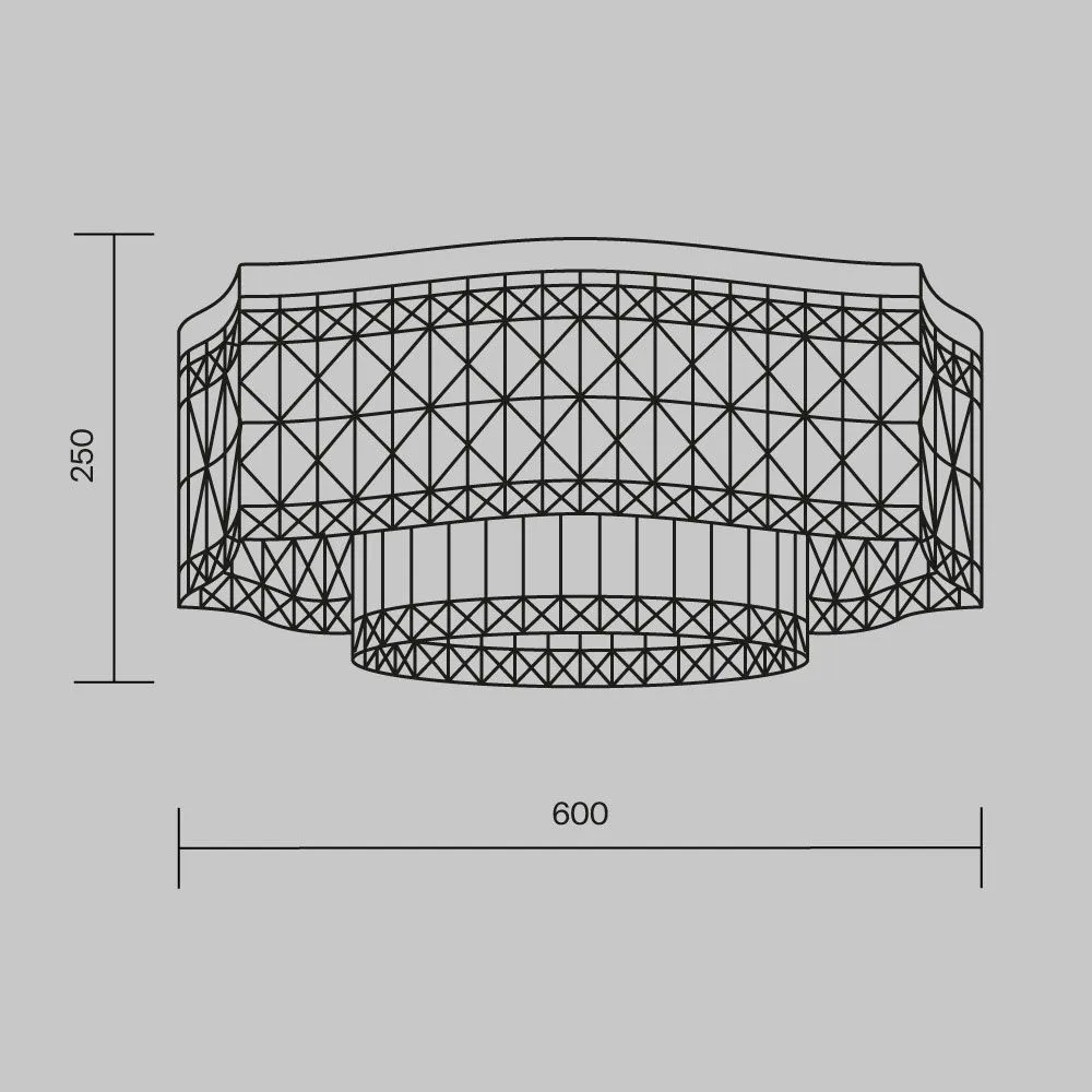 картинка Потолочный светильник Maytoni DIA005CL-10G
