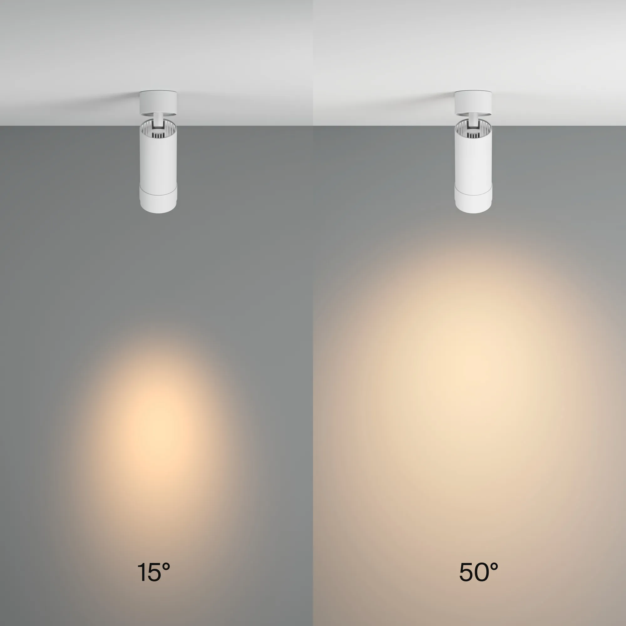 картинка Потолочный светильник Technical C055CL-L12W3K-Z-W